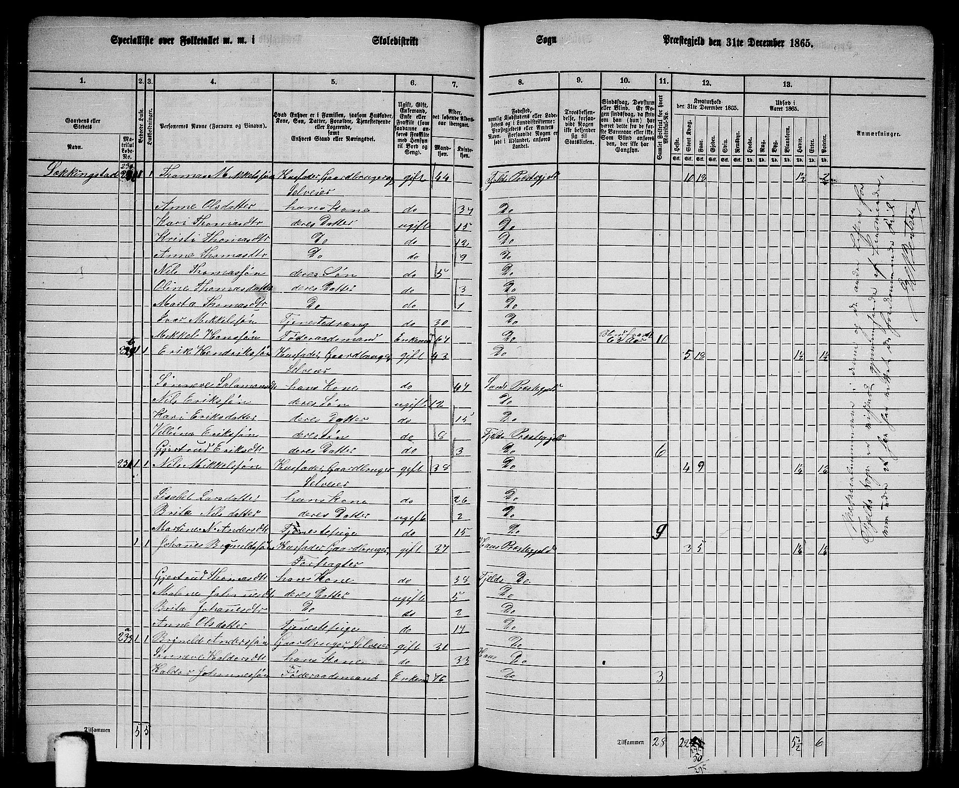 RA, 1865 census for Fjell, 1865, p. 81