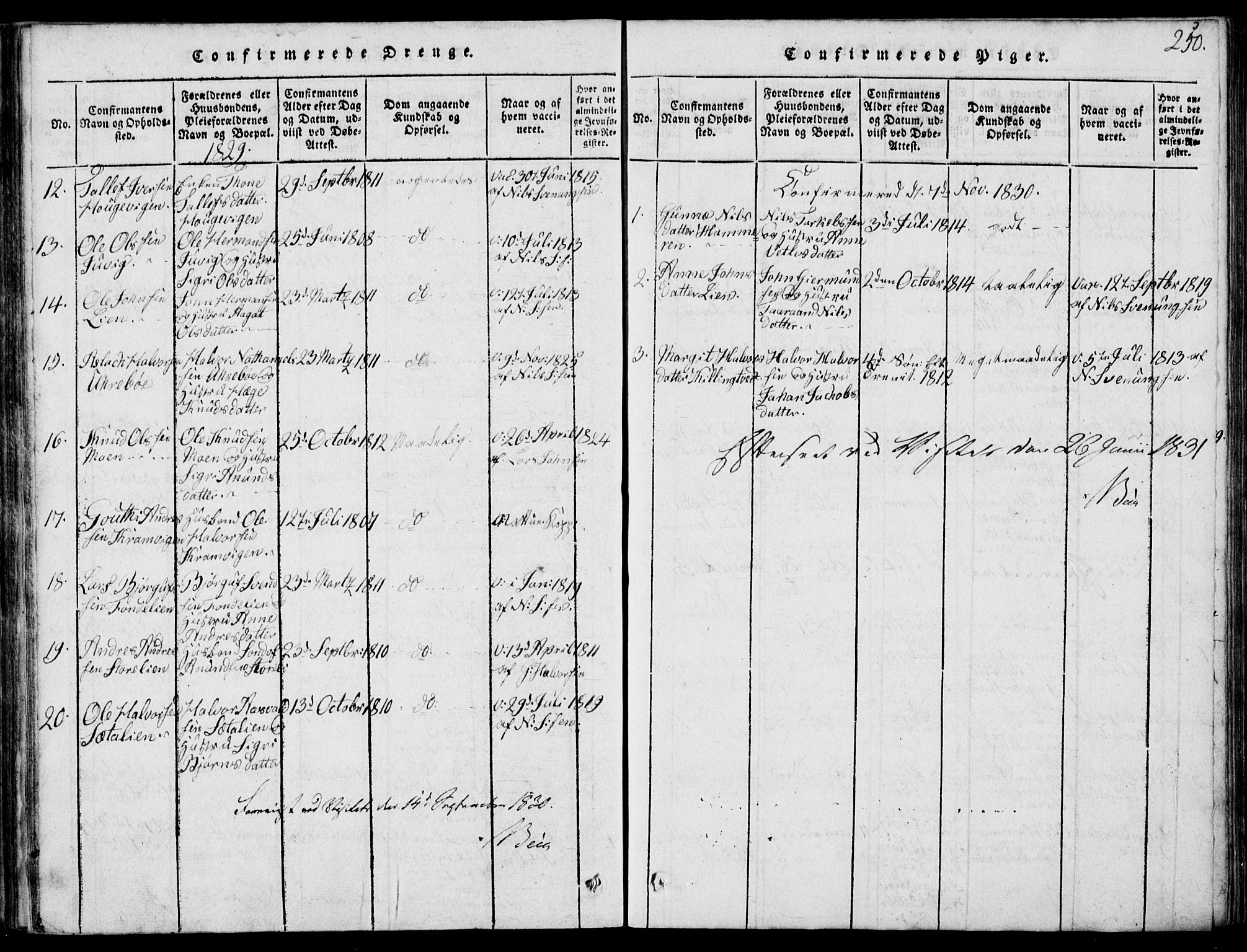 Rauland kirkebøker, SAKO/A-292/G/Ga/L0001: Parish register (copy) no. I 1, 1814-1843, p. 250