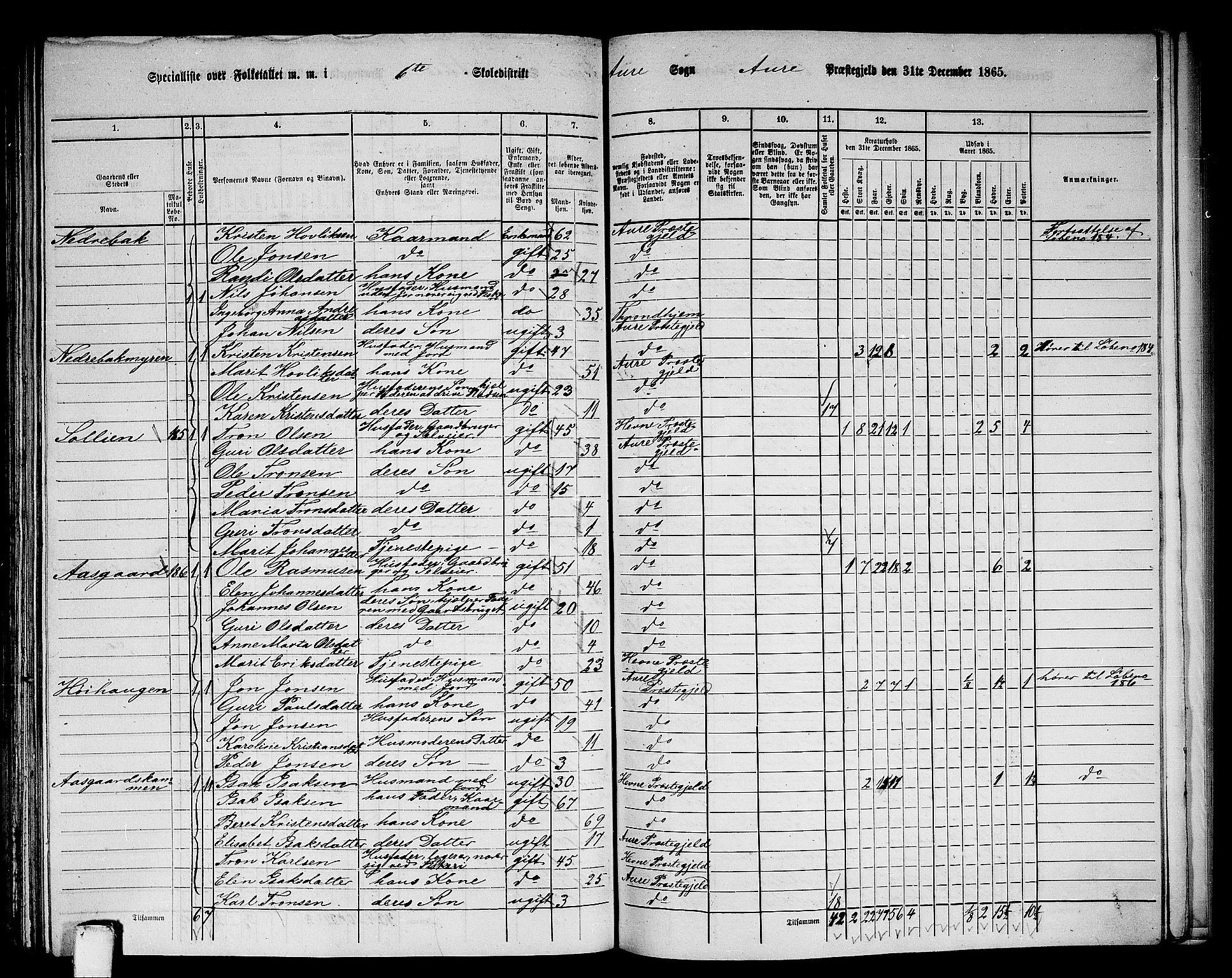 RA, 1865 census for Aure, 1865, p. 135