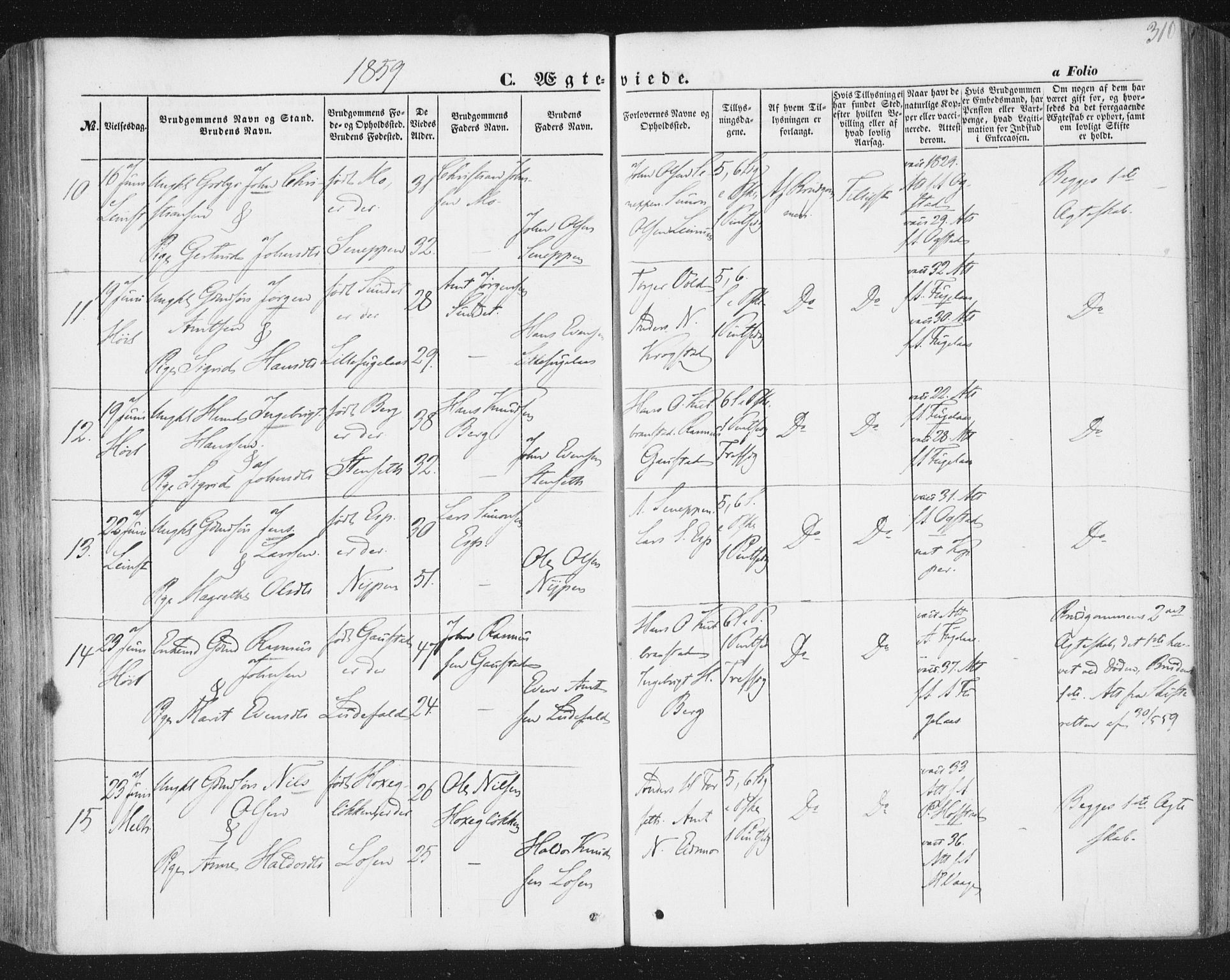 Ministerialprotokoller, klokkerbøker og fødselsregistre - Sør-Trøndelag, AV/SAT-A-1456/691/L1076: Parish register (official) no. 691A08, 1852-1861, p. 310