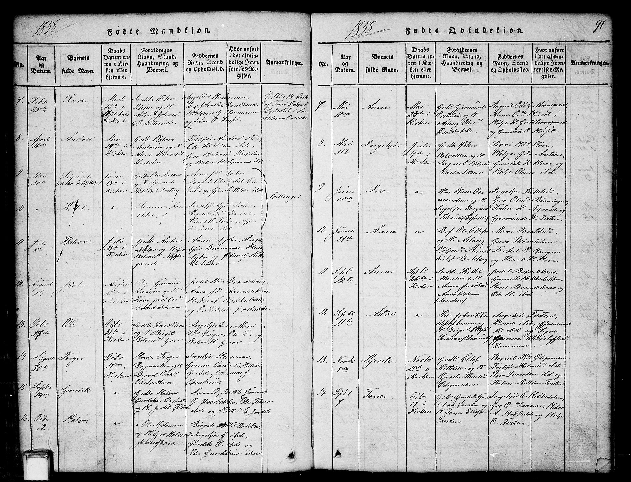 Gransherad kirkebøker, SAKO/A-267/G/Gb/L0001: Parish register (copy) no. II 1, 1815-1860, p. 91