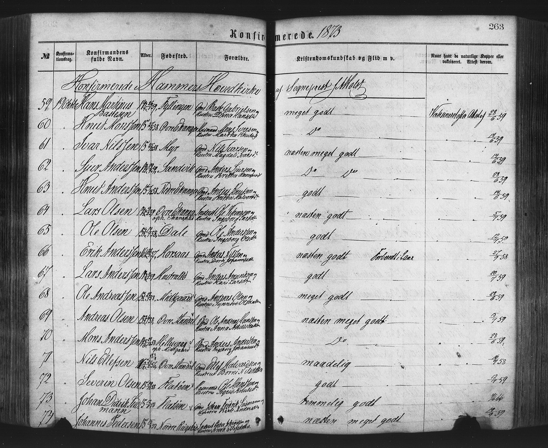 Hamre sokneprestembete, AV/SAB-A-75501/H/Ha/Haa/Haaa/L0015: Parish register (official) no. A 15, 1870-1881, p. 263