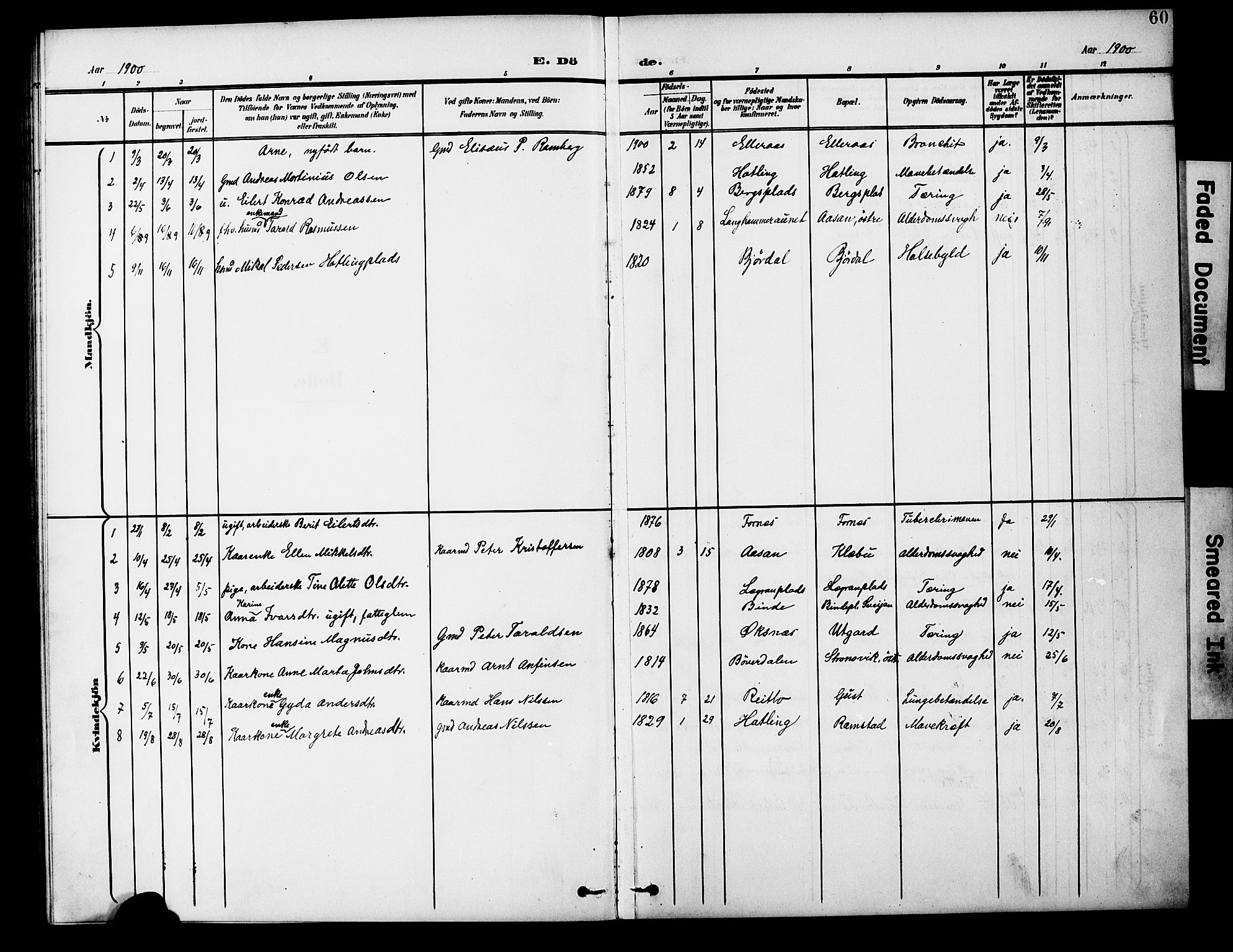 Ministerialprotokoller, klokkerbøker og fødselsregistre - Nord-Trøndelag, SAT/A-1458/746/L0452: Parish register (official) no. 746A09, 1900-1908, p. 60