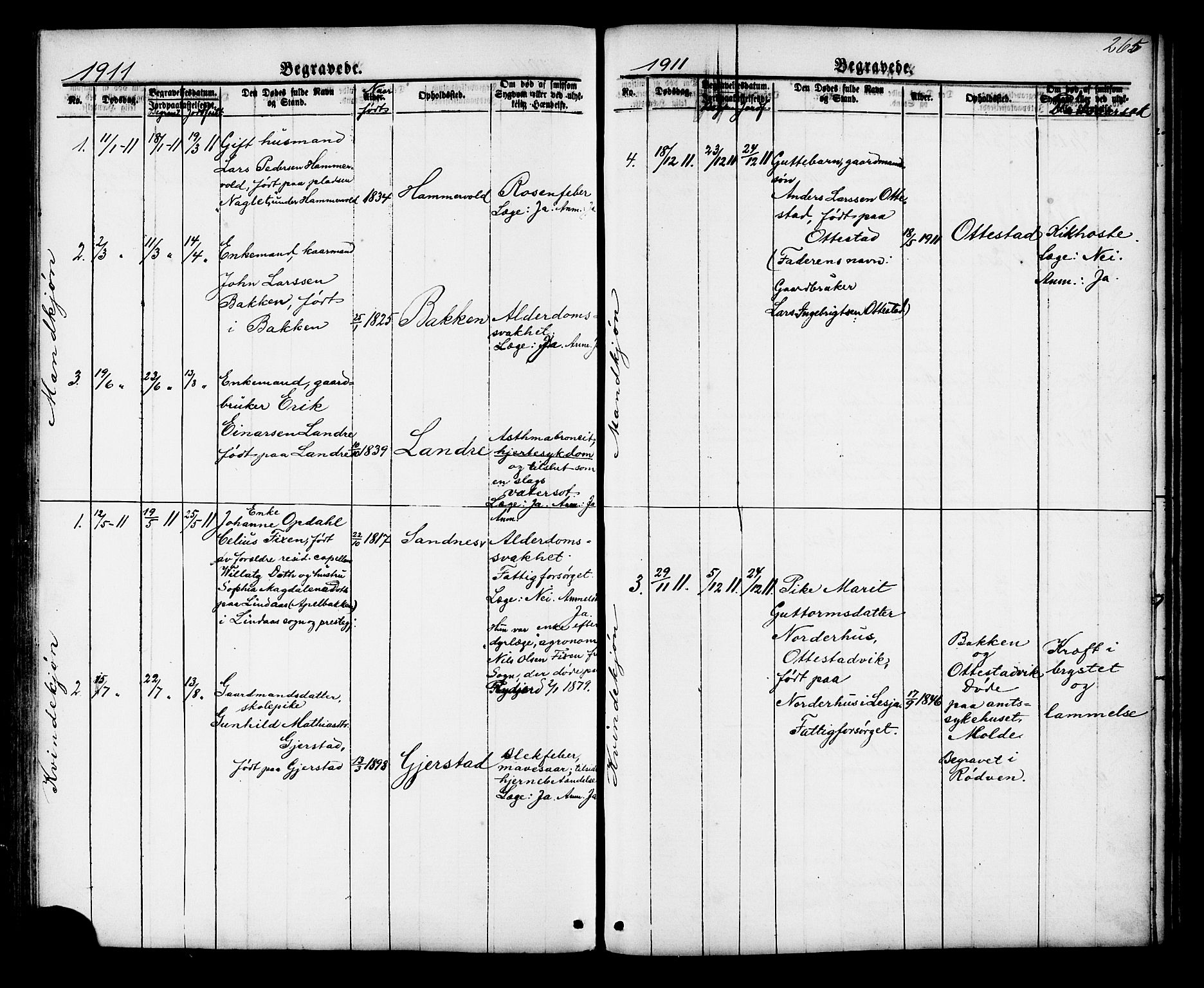 Ministerialprotokoller, klokkerbøker og fødselsregistre - Møre og Romsdal, SAT/A-1454/548/L0614: Parish register (copy) no. 548C02, 1867-1917, p. 265