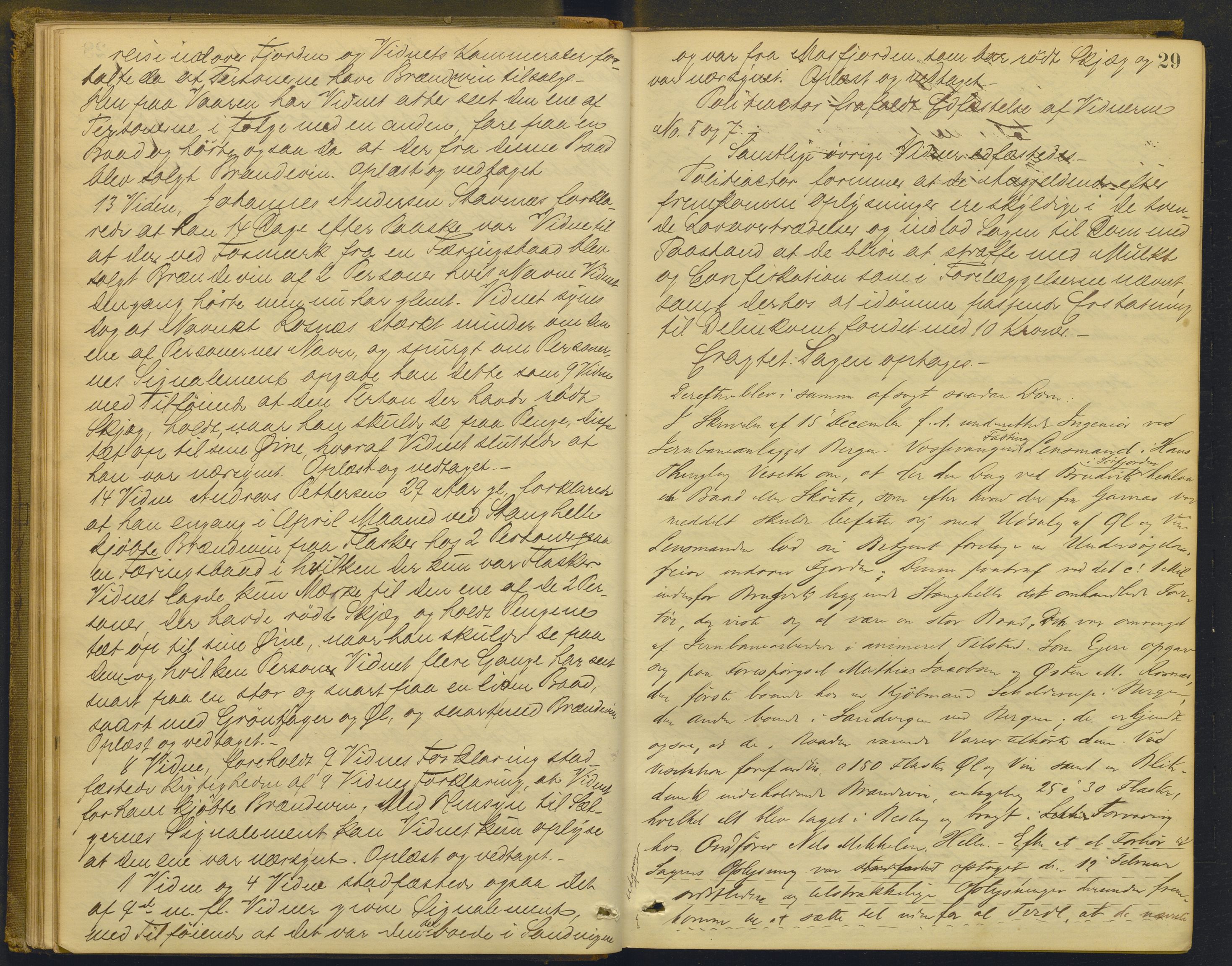 Nordhordland sorenskrivar, AV/SAB-A-2901/1/F/Fd/Fdd/L0004: Ekstrarettsprotokollar, forhøyr, 1880-1884, p. 28b-29a