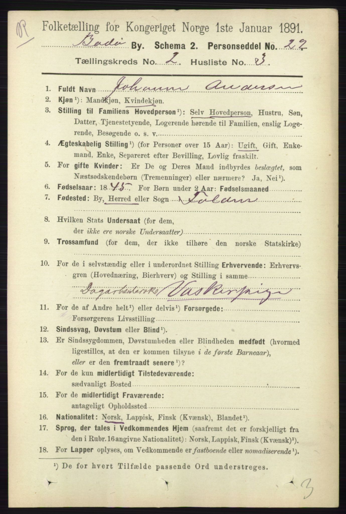 RA, 1891 census for 1804 Bodø, 1891, p. 1035