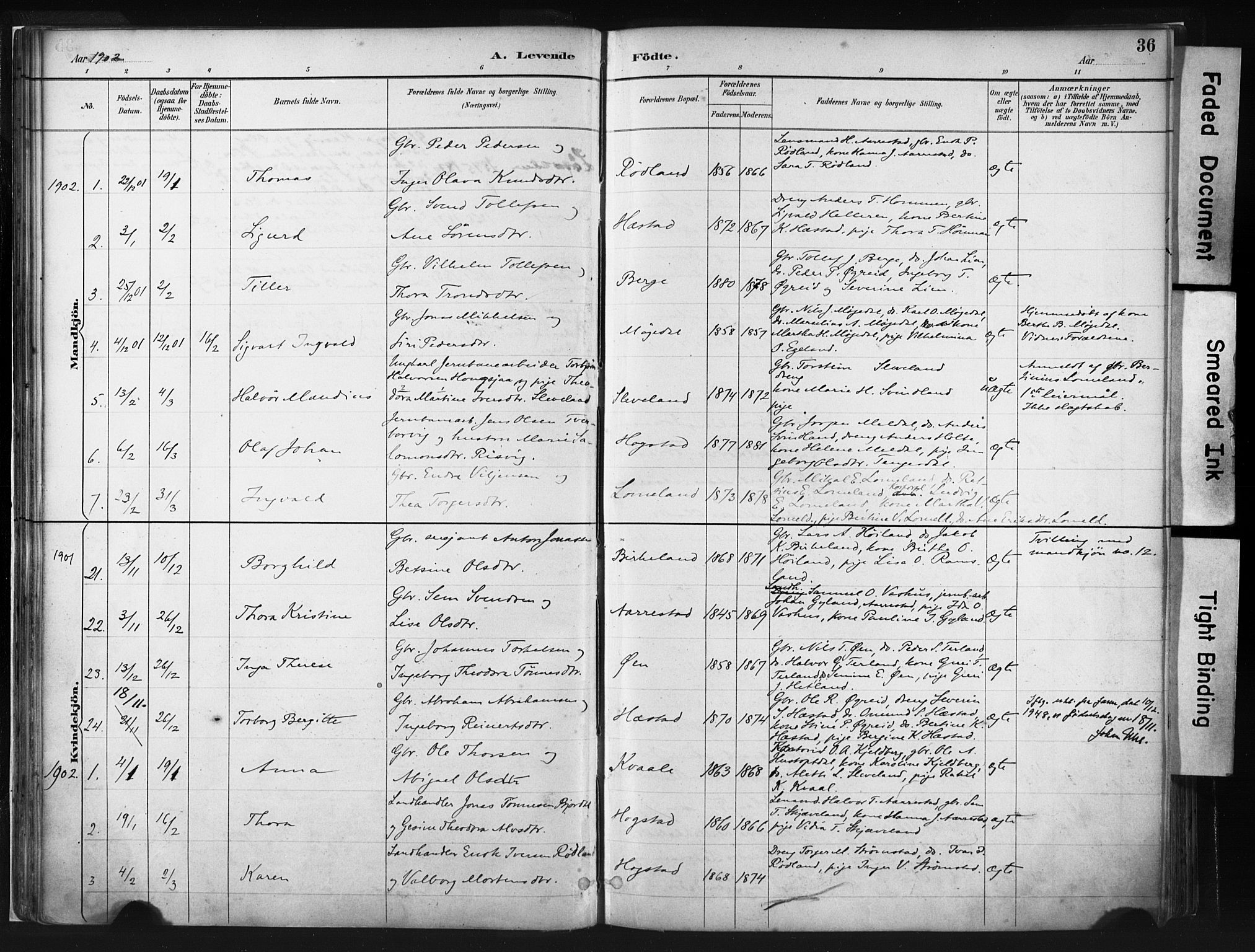 Helleland sokneprestkontor, SAST/A-101810: Parish register (official) no. A 8, 1887-1907, p. 36