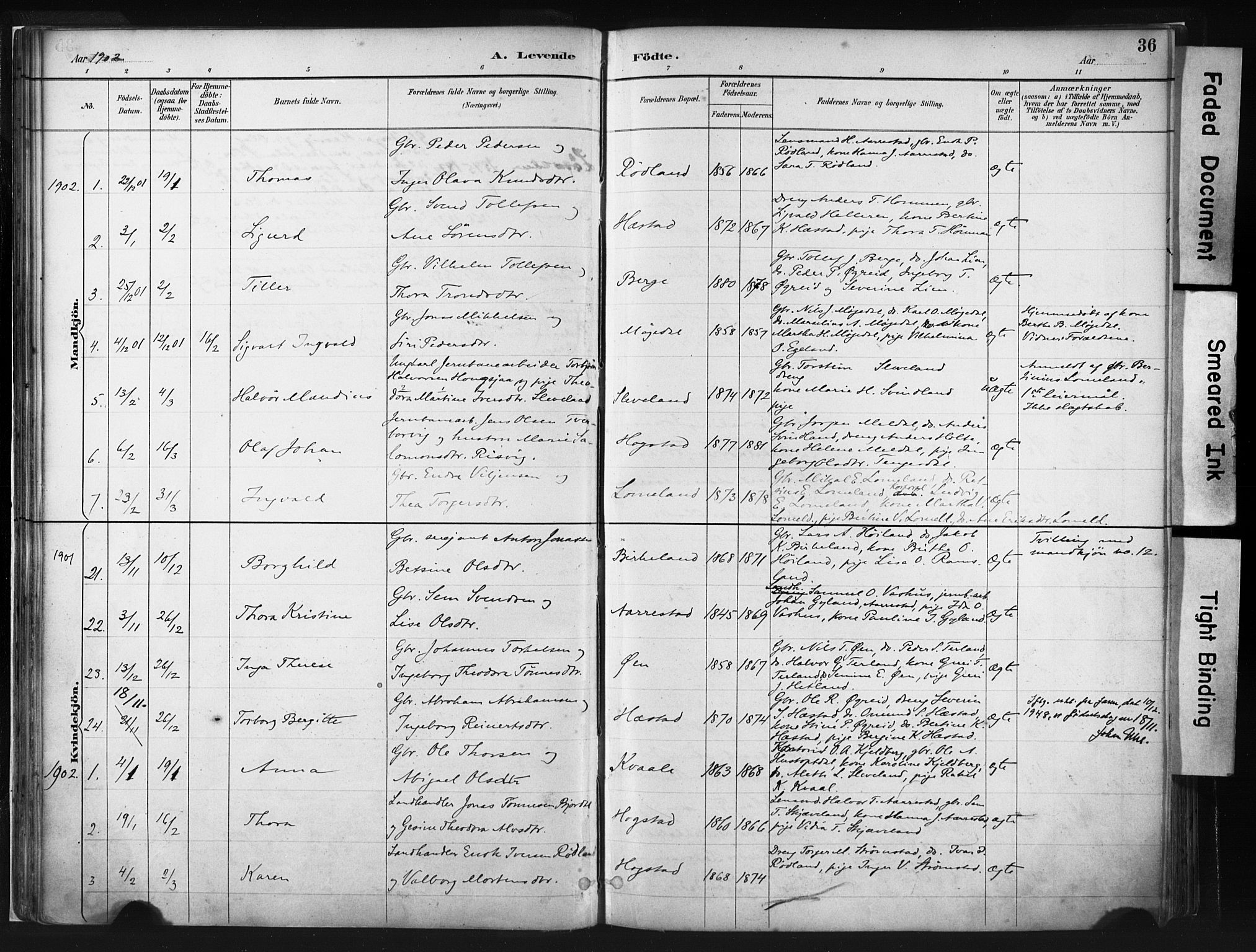 Helleland sokneprestkontor, AV/SAST-A-101810: Parish register (official) no. A 8, 1887-1907, p. 36