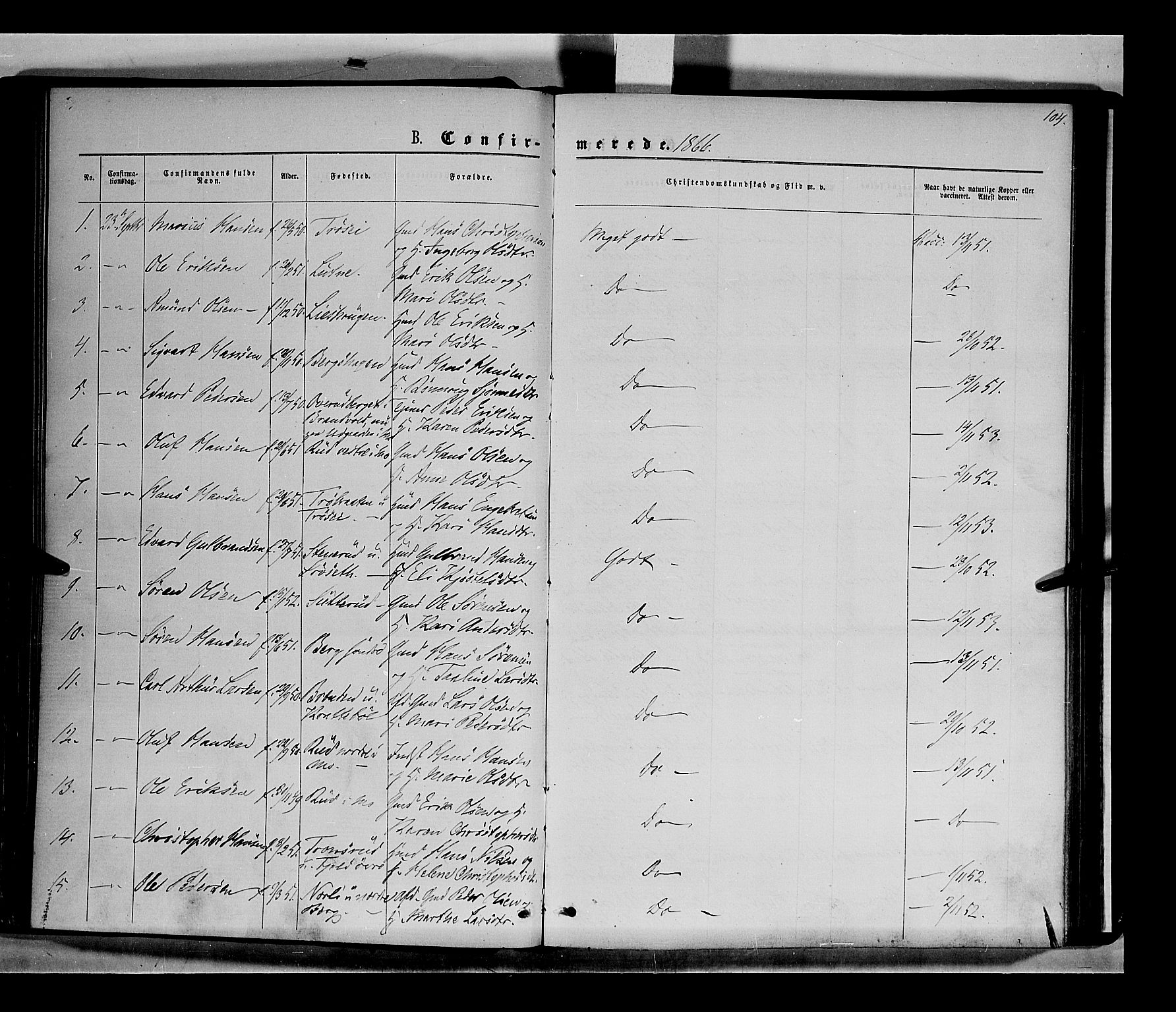 Nord-Odal prestekontor, SAH/PREST-032/H/Ha/Haa/L0004: Parish register (official) no. 4, 1866-1873, p. 104