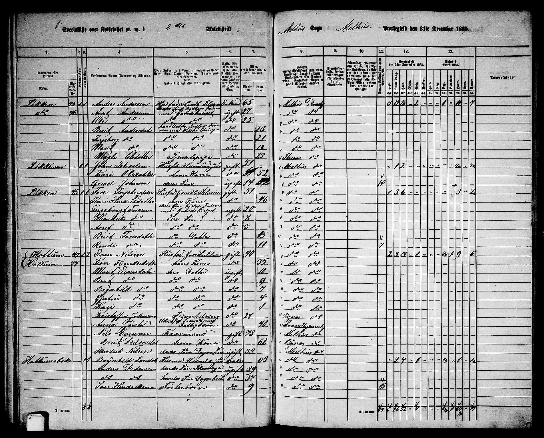 RA, 1865 census for Melhus, 1865, p. 50