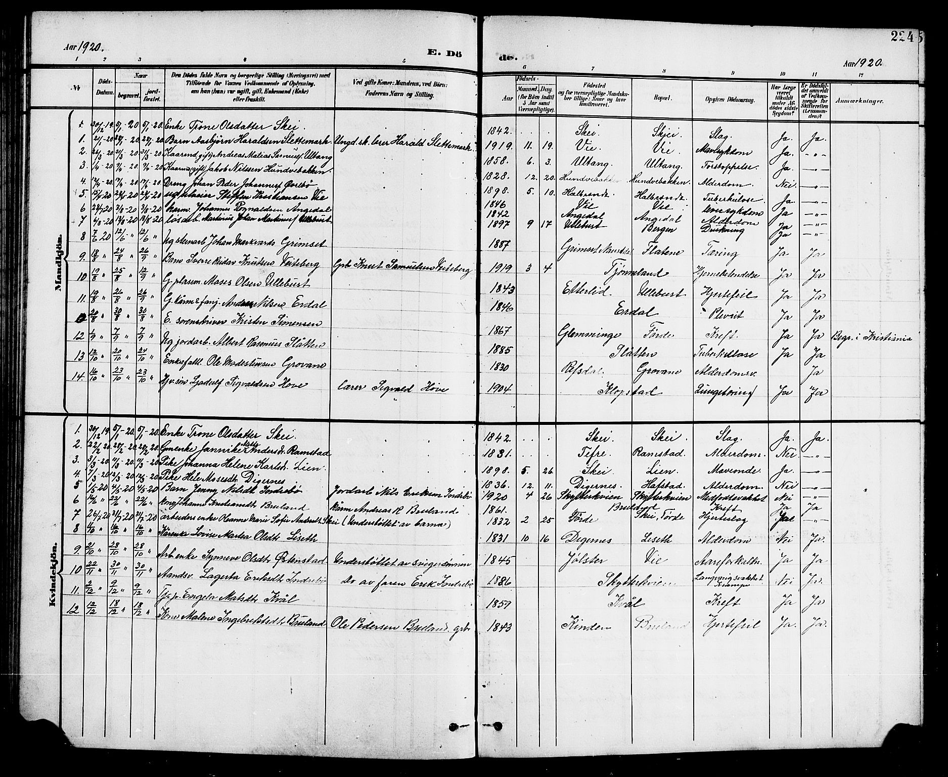 Førde sokneprestembete, SAB/A-79901/H/Hab/Haba/L0003: Parish register (copy) no. A 3, 1899-1924, p. 224