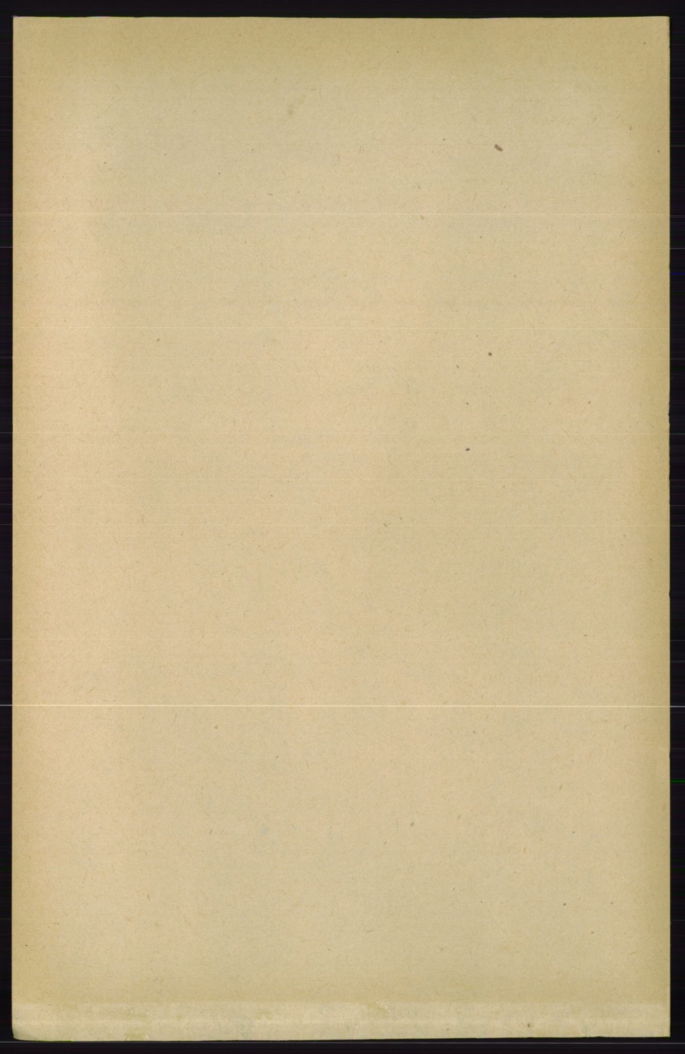 RA, 1891 census for 0829 Kviteseid, 1891, p. 1166