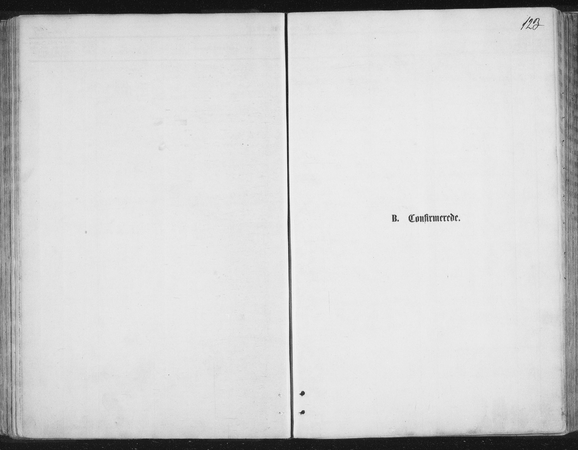 Lyngen sokneprestembete, SATØ/S-1289/H/He/Hea/L0006kirke: Parish register (official) no. 6, 1870-1878, p. 123