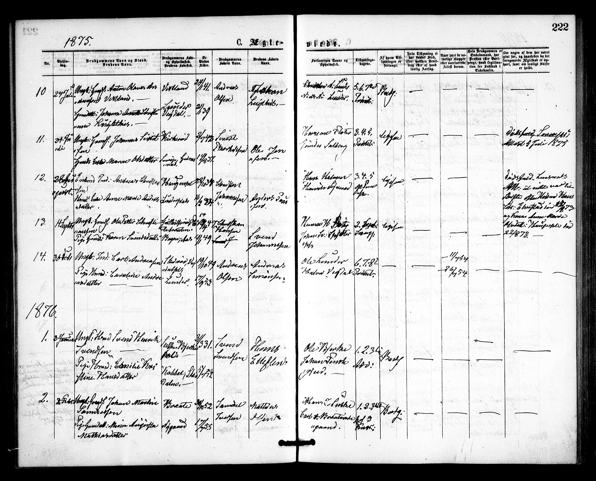 Våler prestekontor Kirkebøker, AV/SAO-A-11083/F/Fa/L0009: Parish register (official) no. I 9, 1873-1877, p. 222