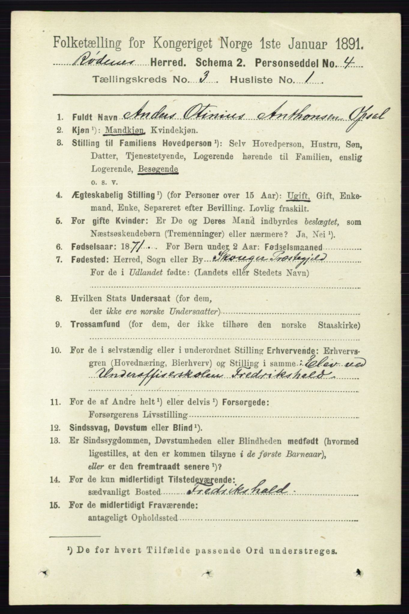 RA, 1891 census for 0120 Rødenes, 1891, p. 1197