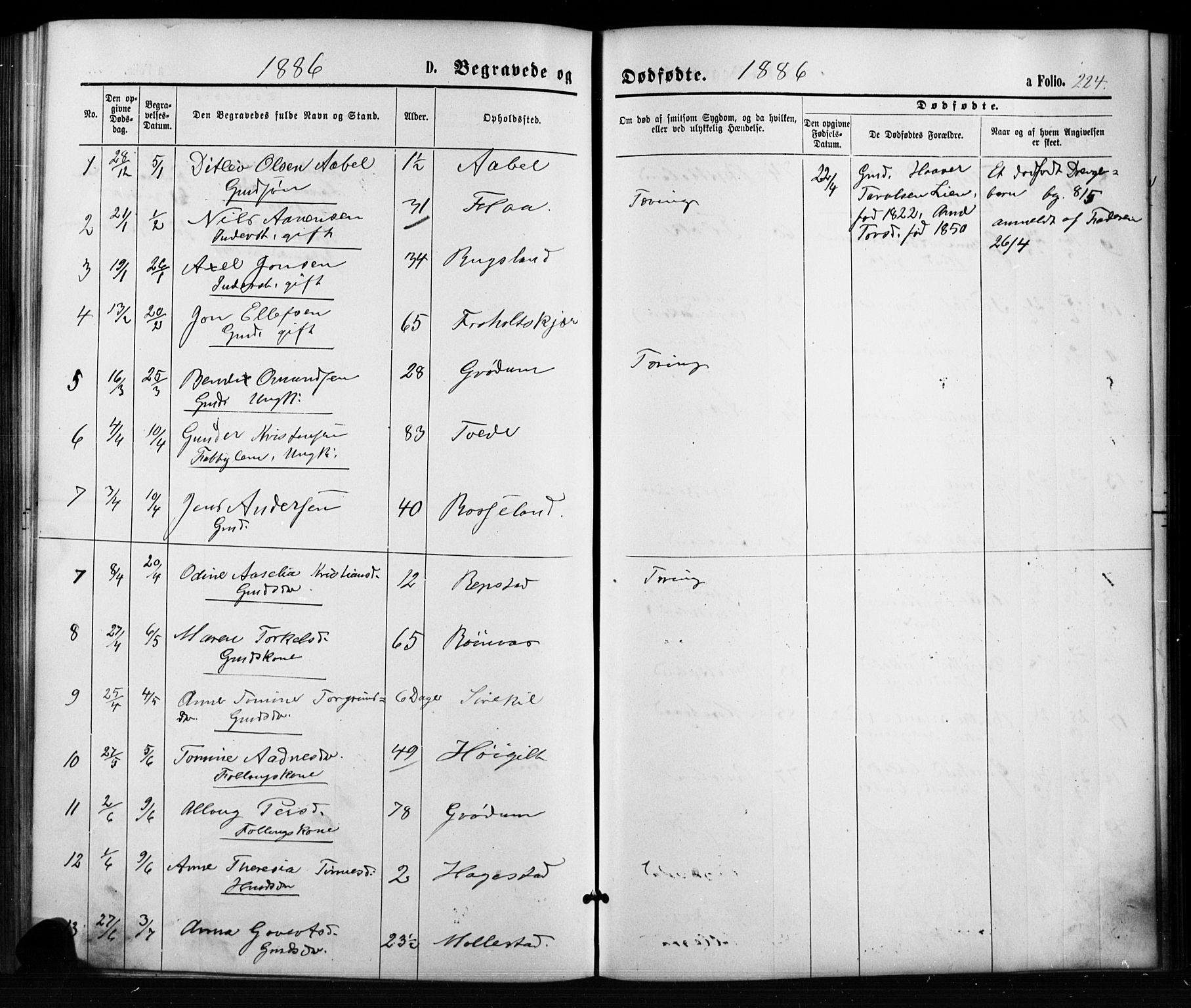 Birkenes sokneprestkontor, SAK/1111-0004/F/Fb/L0003: Parish register (copy) no. B 3, 1876-1892, p. 224