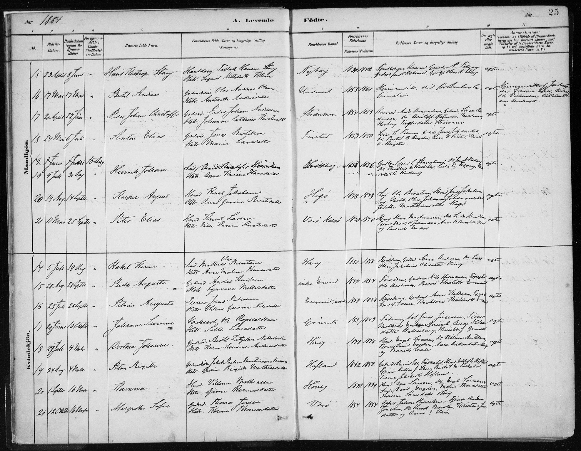 Askvoll sokneprestembete, AV/SAB-A-79501/H/Haa/Haab/L0002: Parish register (official) no. B 2, 1879-1909, p. 25