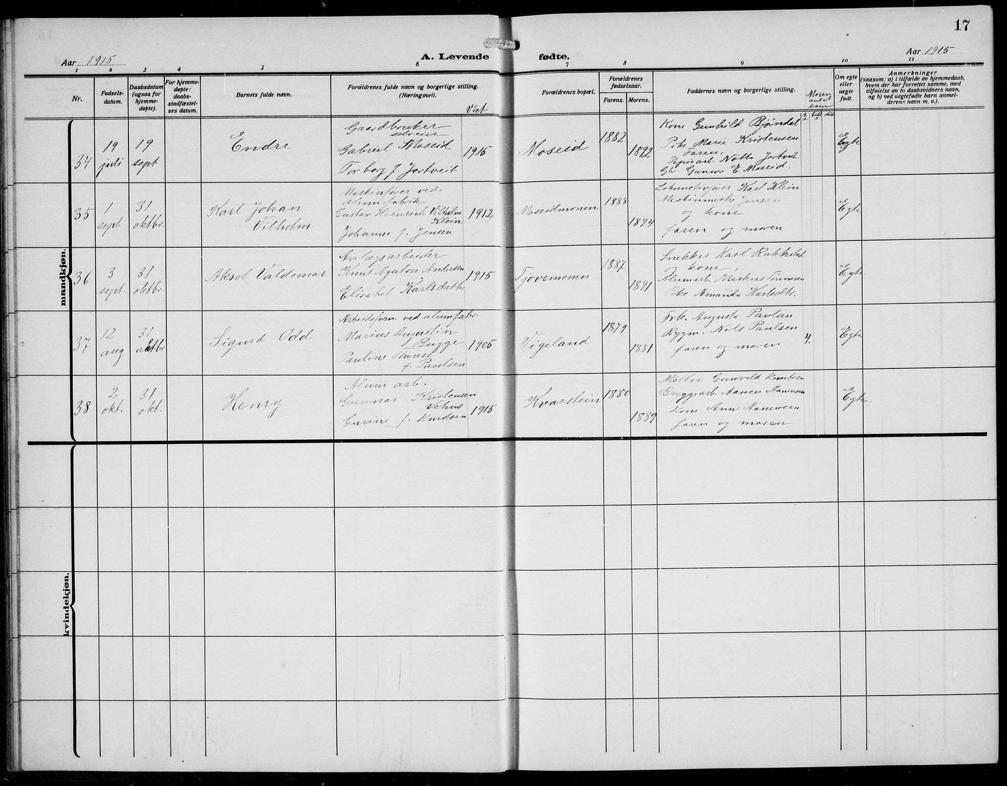 Vennesla sokneprestkontor, AV/SAK-1111-0045/Fb/Fbb/L0006: Parish register (copy) no. B 6, 1914-1921, p. 17