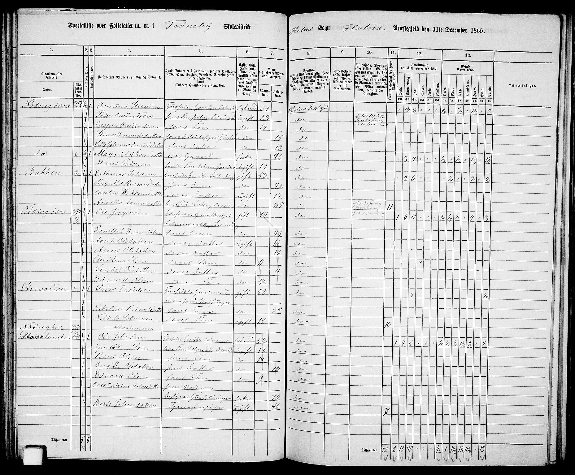 RA, 1865 census for Holum, 1865, p. 57