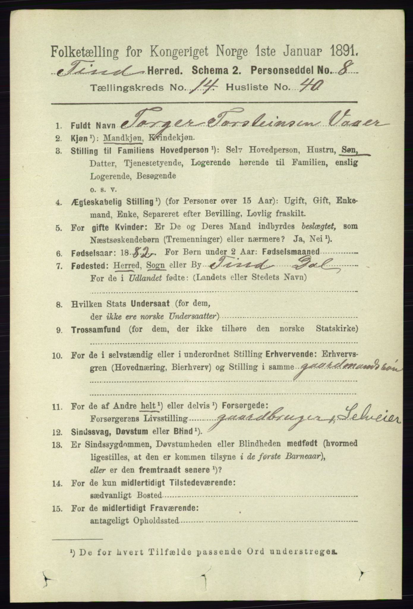 RA, 1891 census for 0826 Tinn, 1891, p. 3070