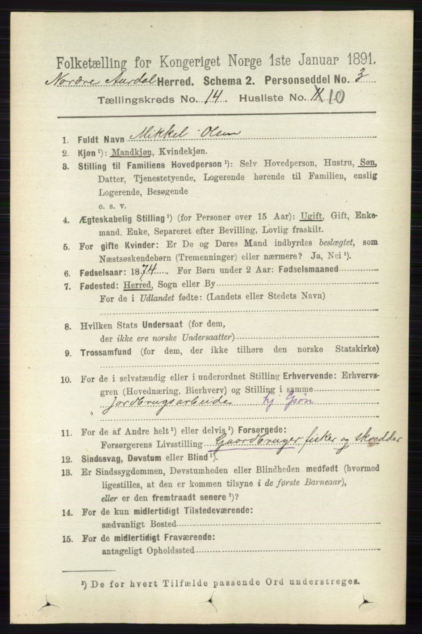 RA, 1891 census for 0542 Nord-Aurdal, 1891, p. 5263