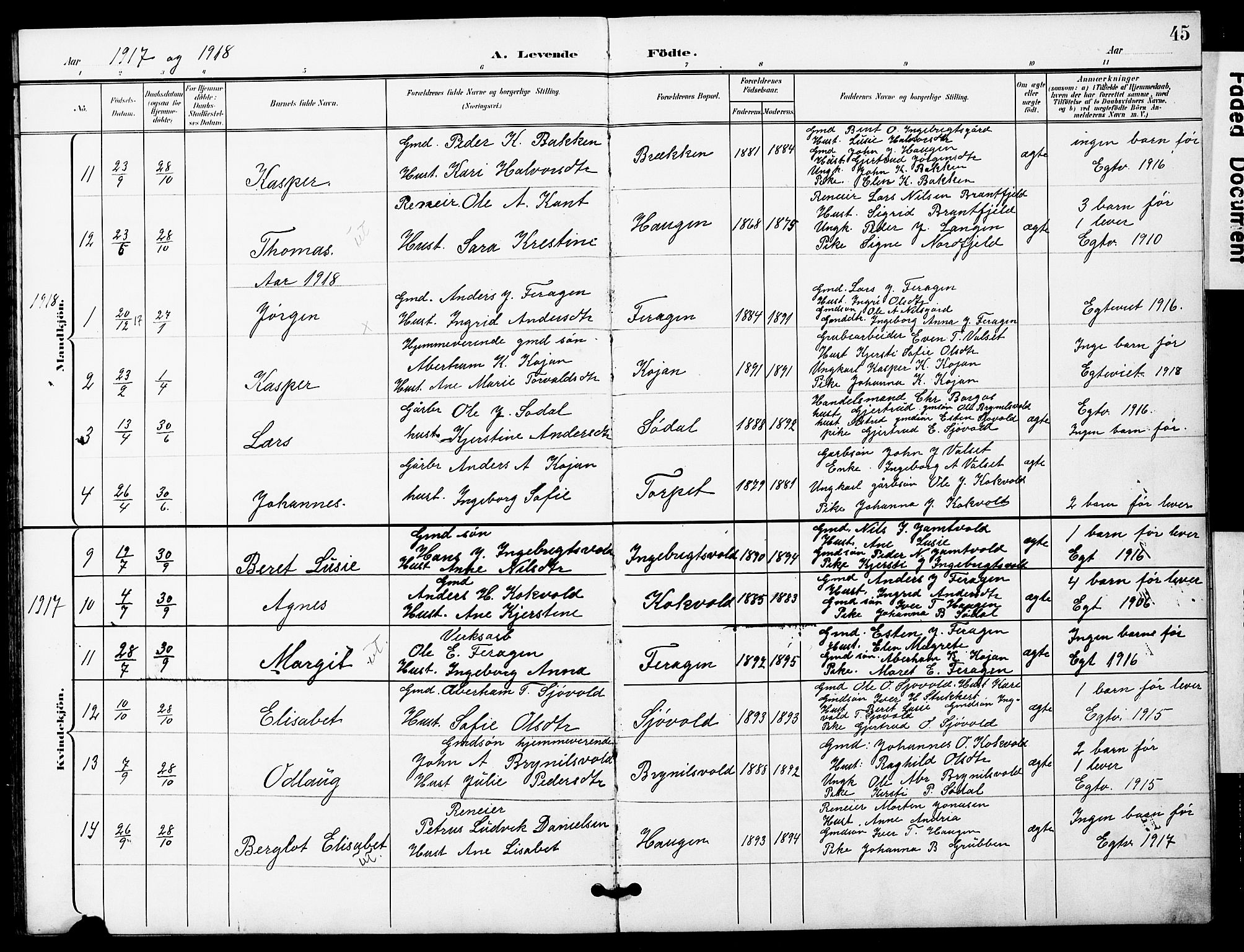 Ministerialprotokoller, klokkerbøker og fødselsregistre - Sør-Trøndelag, SAT/A-1456/683/L0950: Parish register (copy) no. 683C02, 1897-1918, p. 45