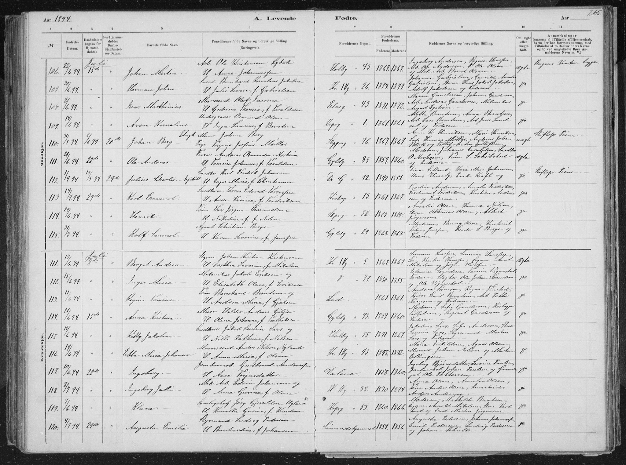 Kristiansand domprosti, SAK/1112-0006/F/Fb/L0014: Parish register (copy) no. B 14, 1881-1896, p. 265