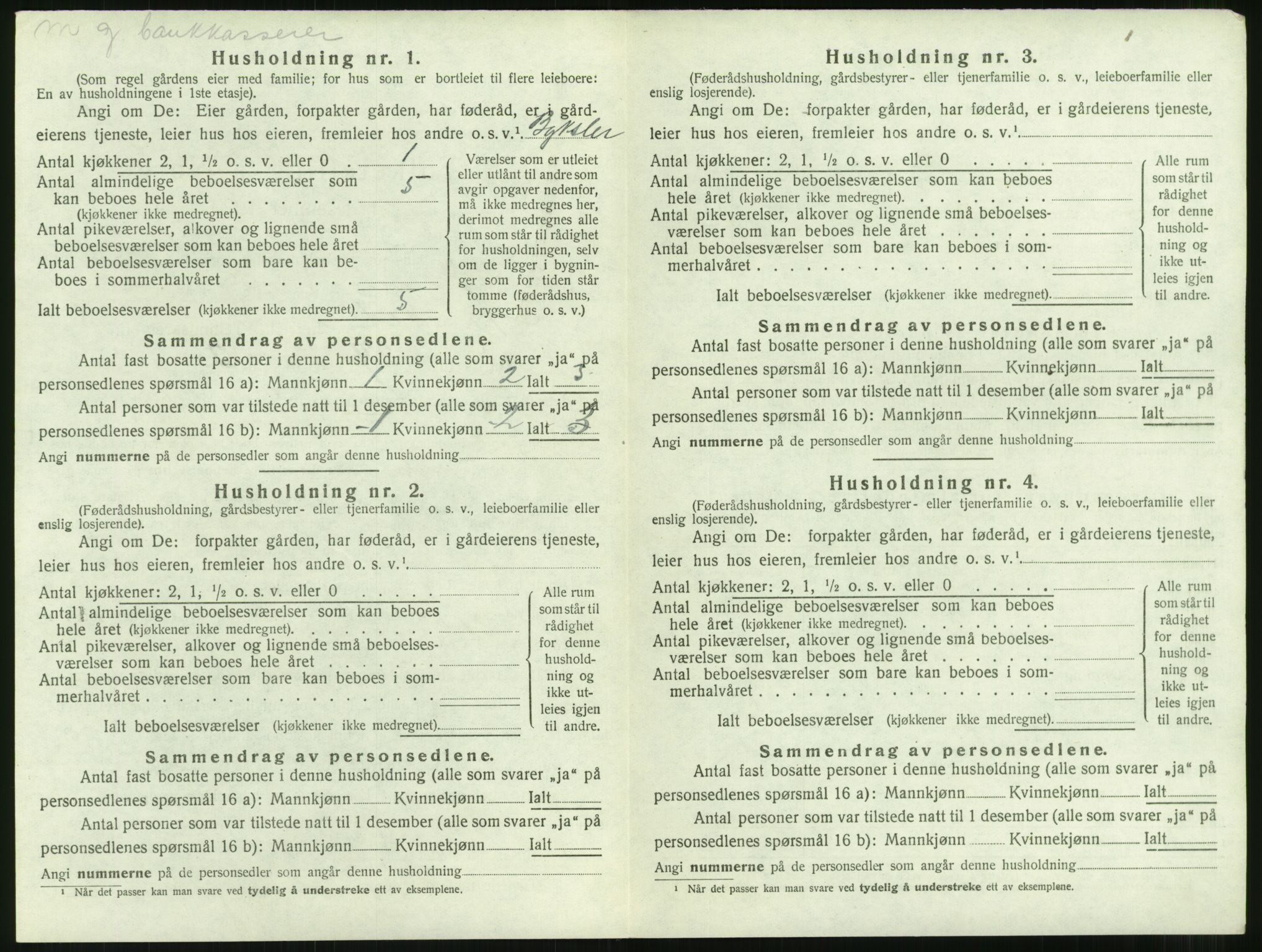 SAT, 1920 census for Nesset, 1920, p. 321