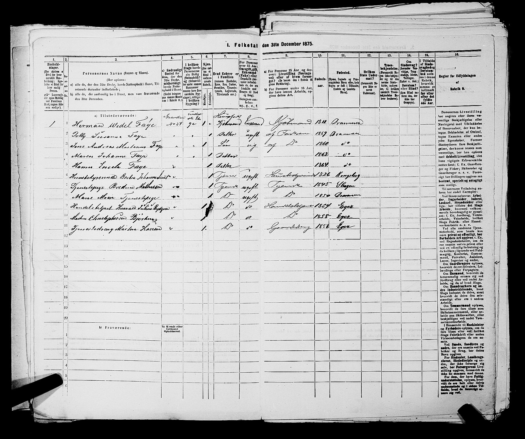 SAKO, 1875 census for 0602 Drammen, 1875, p. 811