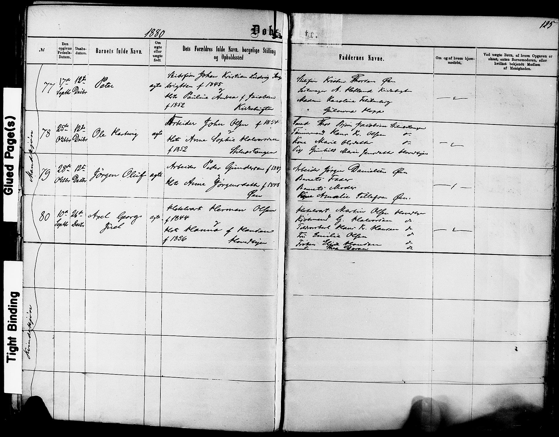 Kragerø kirkebøker, SAKO/A-278/F/Fa/L0011: Parish register (official) no. 11, 1875-1886, p. 125