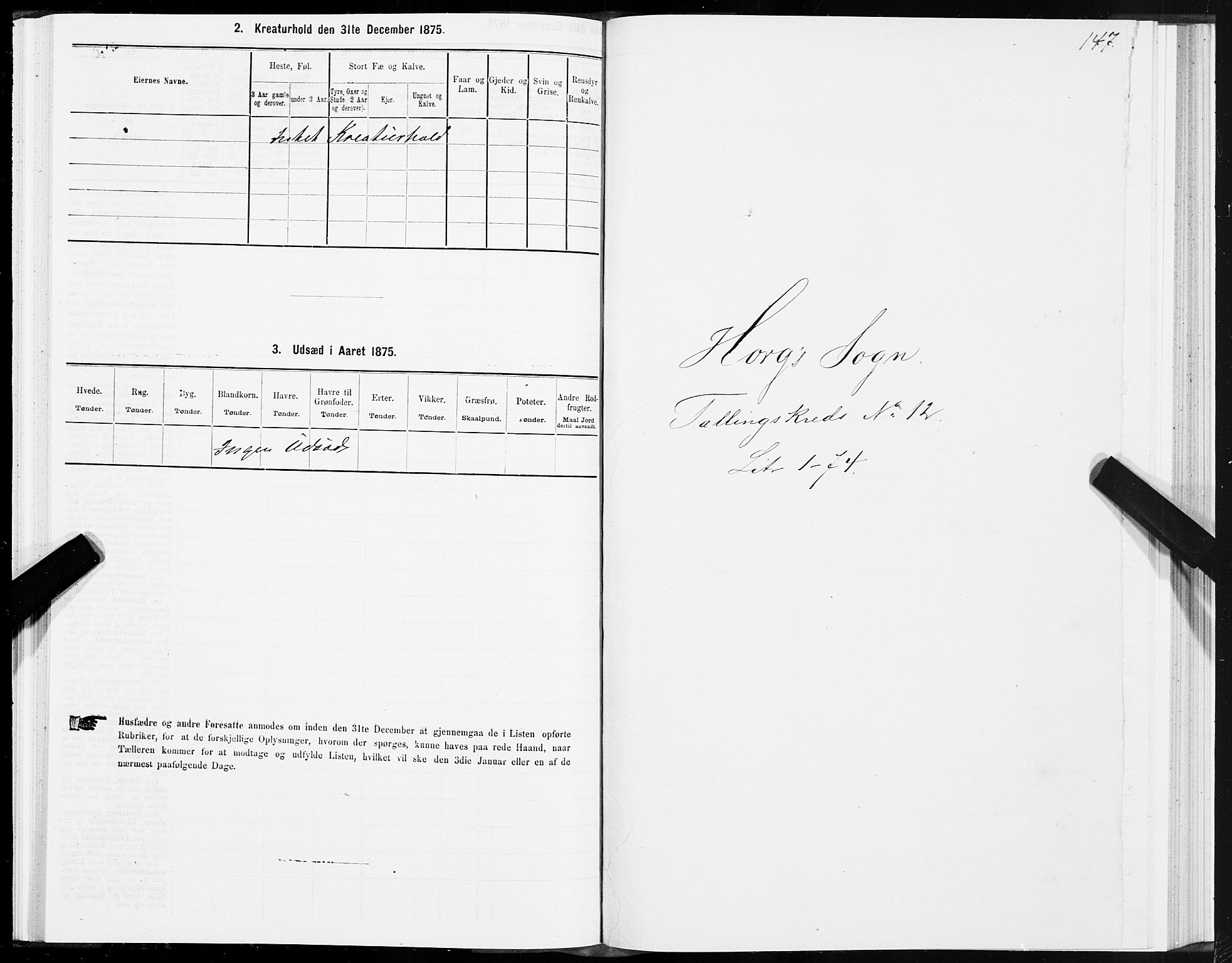 SAT, 1875 census for 1648P Støren, 1875, p. 6147