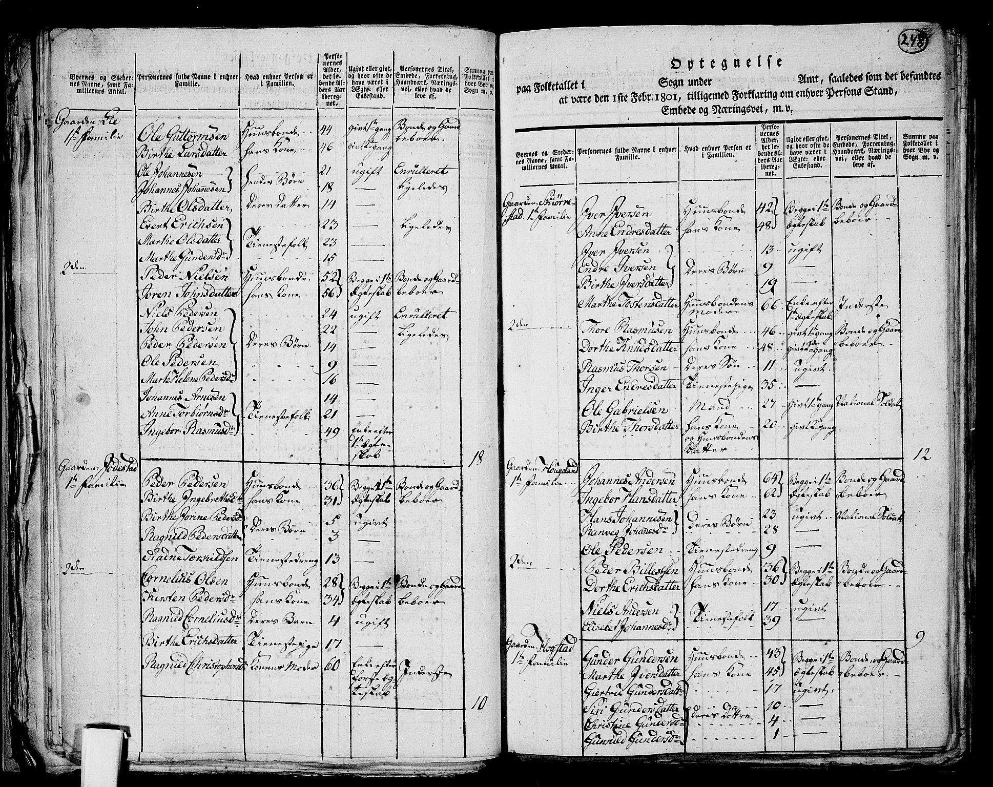 RA, 1801 census for 1103P Stavanger, 1801, p. 247b-248a