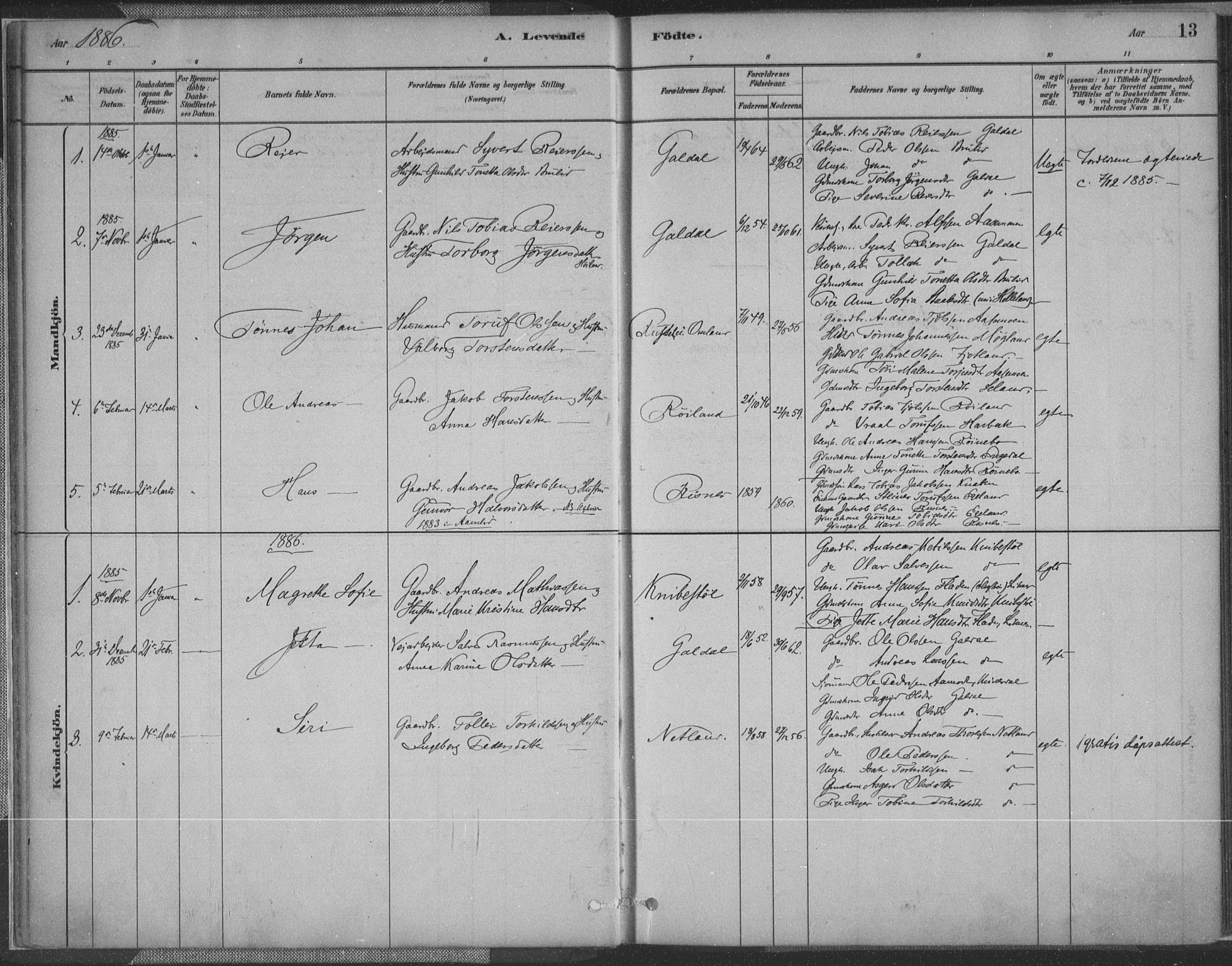 Fjotland sokneprestkontor, AV/SAK-1111-0010/F/Fa/L0002: Parish register (official) no. A 2, 1880-1898, p. 13