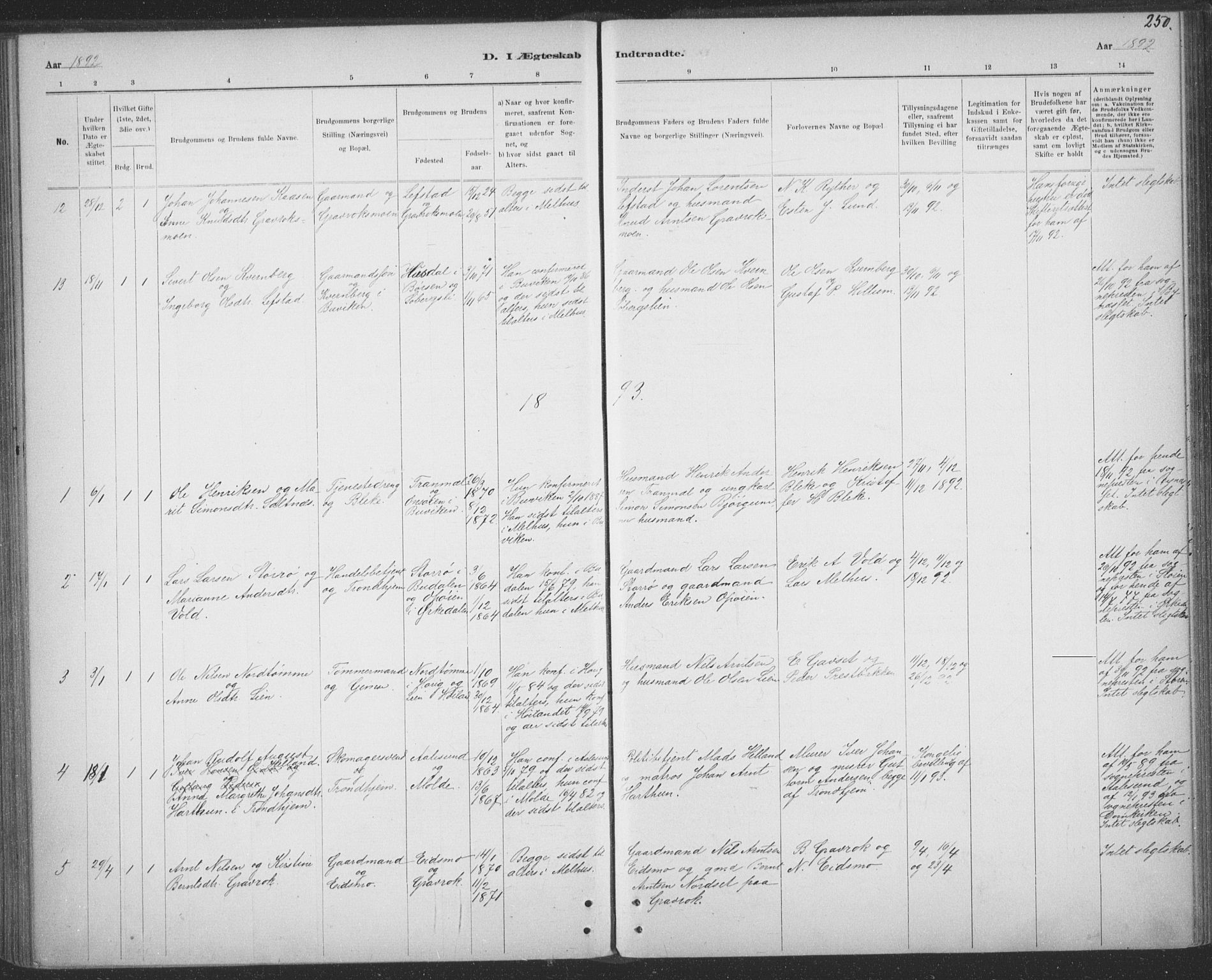 Ministerialprotokoller, klokkerbøker og fødselsregistre - Sør-Trøndelag, SAT/A-1456/691/L1085: Parish register (official) no. 691A17, 1887-1908, p. 250