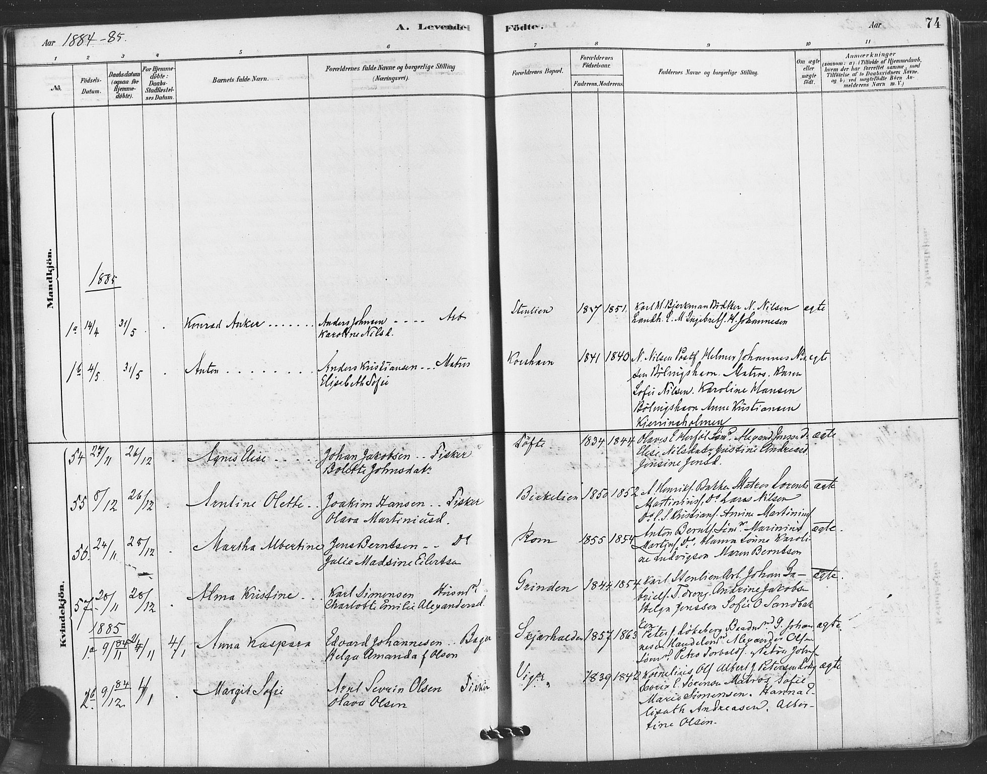 Hvaler prestekontor Kirkebøker, AV/SAO-A-2001/F/Fa/L0008: Parish register (official) no. I 8, 1878-1895, p. 74