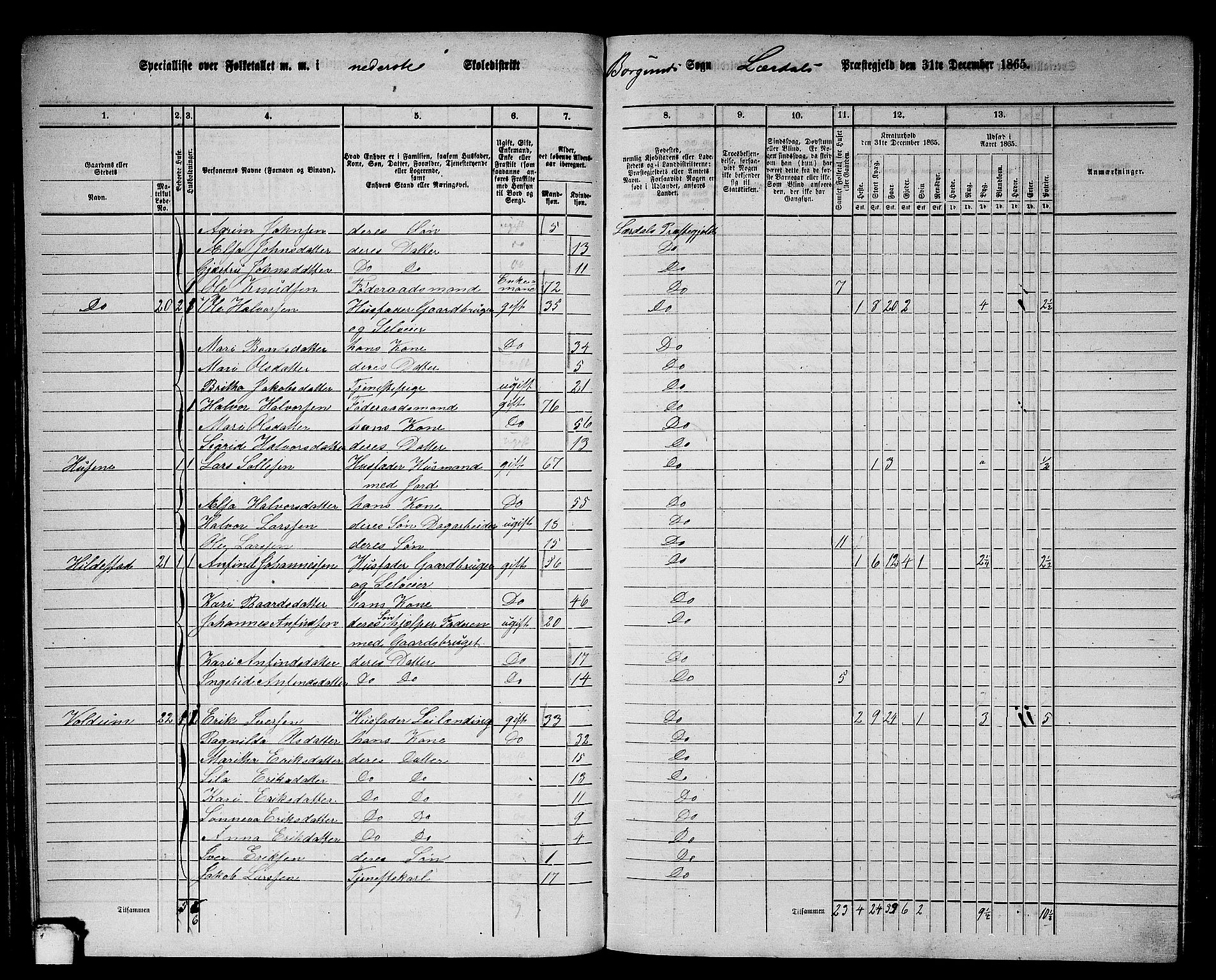 RA, 1865 census for Lærdal, 1865, p. 50