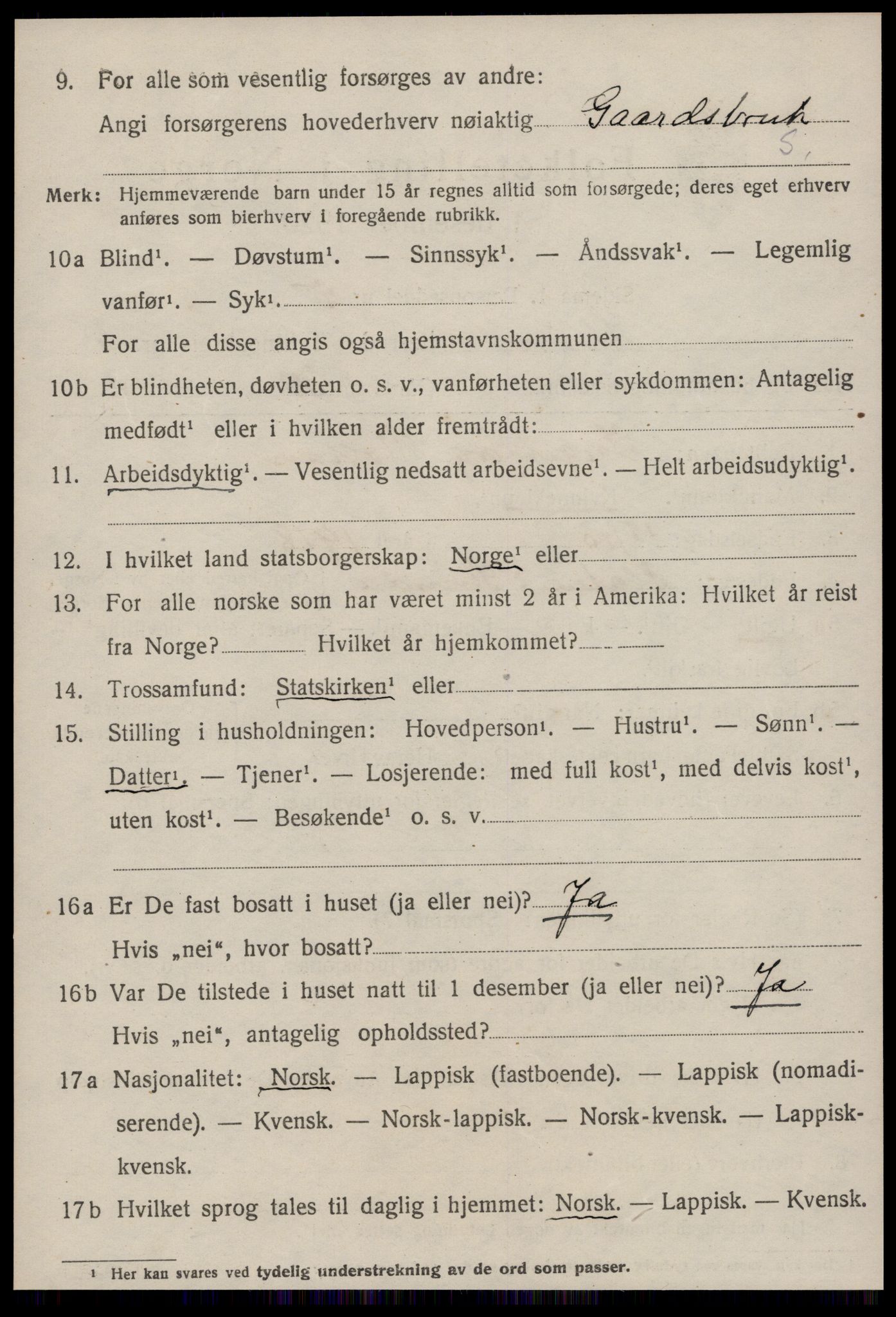 SAT, 1920 census for Strinda, 1920, p. 14153