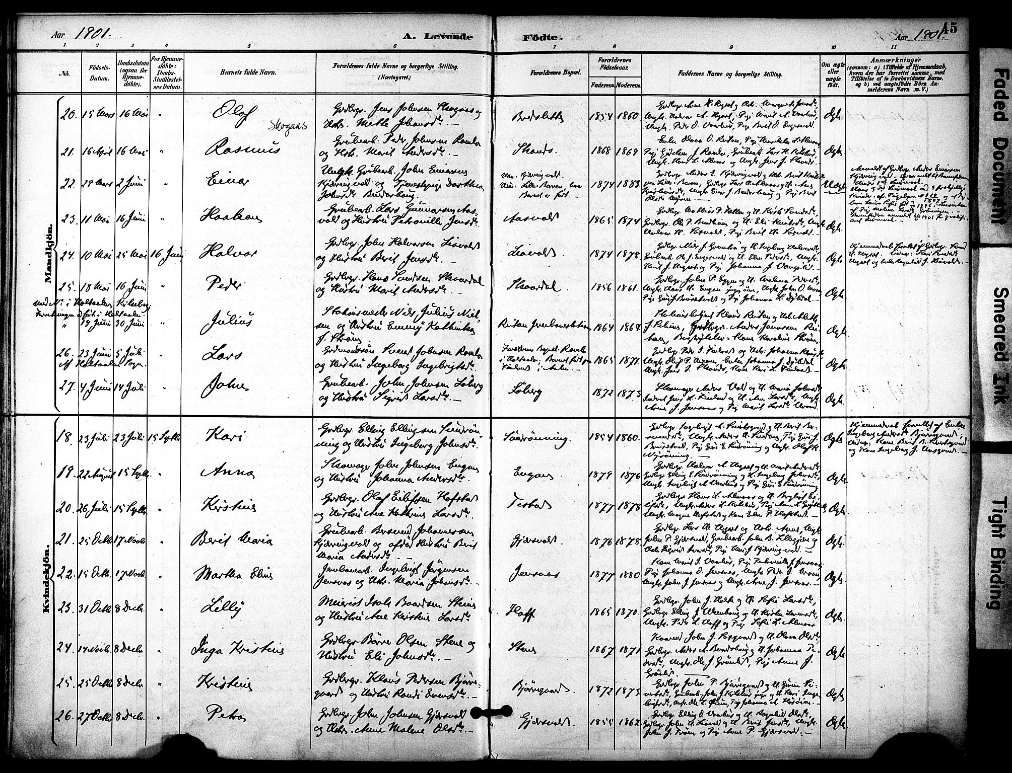 Ministerialprotokoller, klokkerbøker og fødselsregistre - Sør-Trøndelag, AV/SAT-A-1456/686/L0984: Parish register (official) no. 686A02, 1891-1906, p. 45