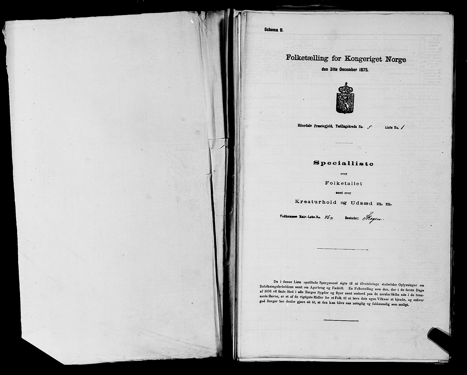 SAKO, 1875 census for 0823P Heddal, 1875, p. 700