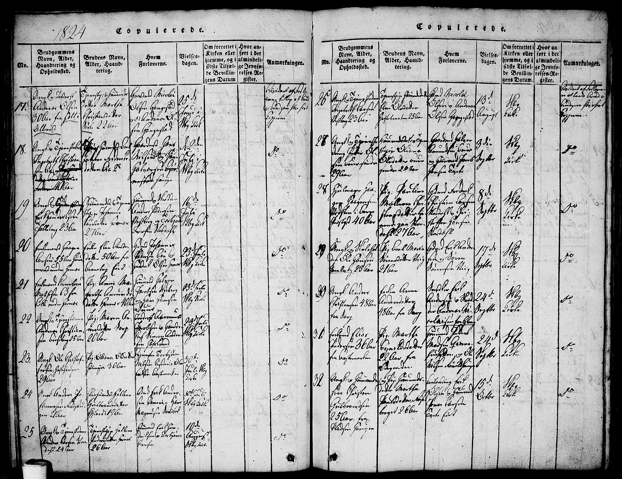 Skjeberg prestekontor Kirkebøker, AV/SAO-A-10923/F/Fa/L0004: Parish register (official) no. I 4, 1815-1830, p. 210