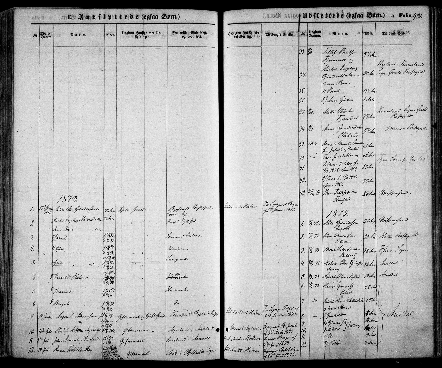 Evje sokneprestkontor, SAK/1111-0008/F/Fa/Faa/L0006: Parish register (official) no. A 6, 1866-1884, p. 431