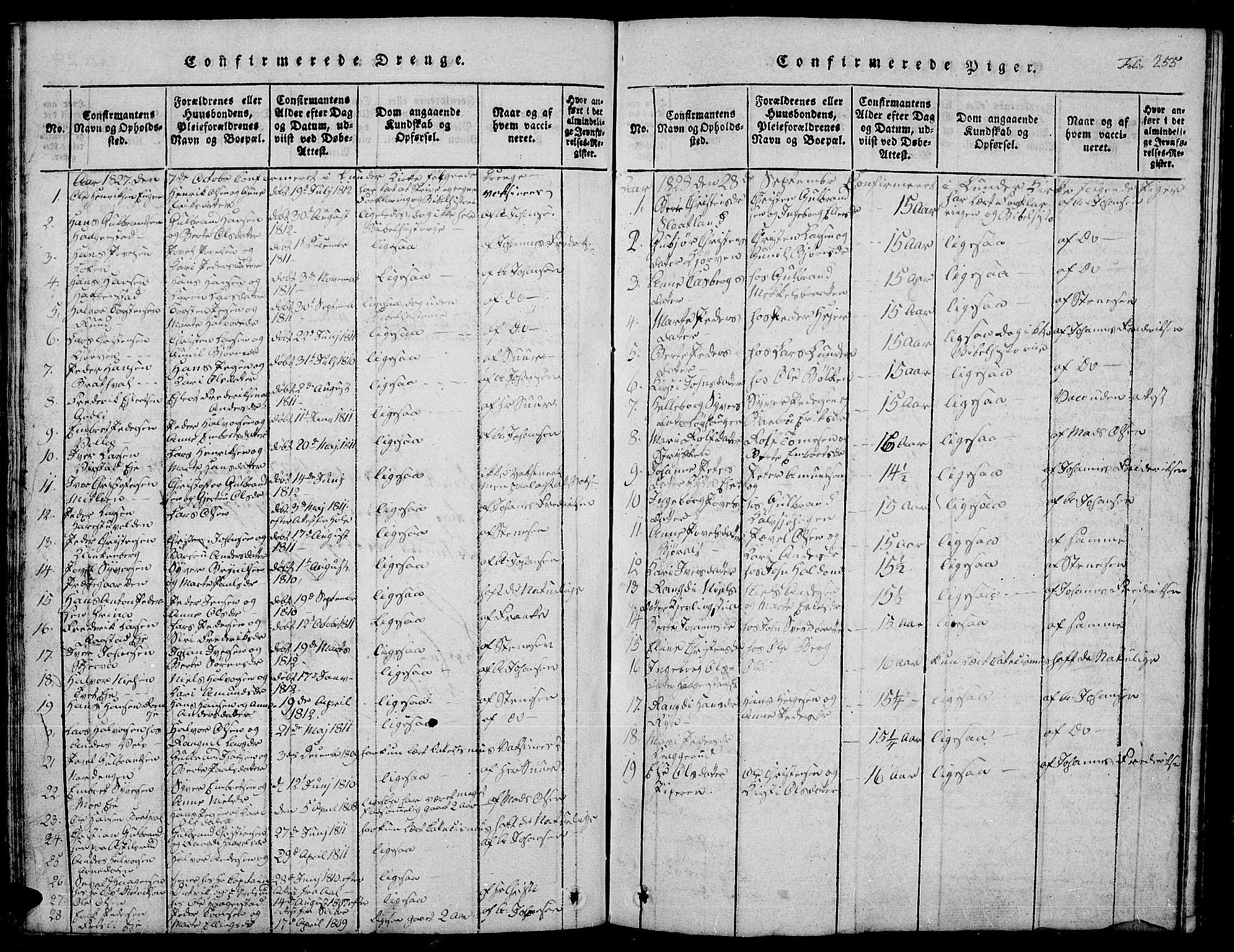 Jevnaker prestekontor, SAH/PREST-116/H/Ha/Hab/L0001: Parish register (copy) no. 1, 1815-1837, p. 255