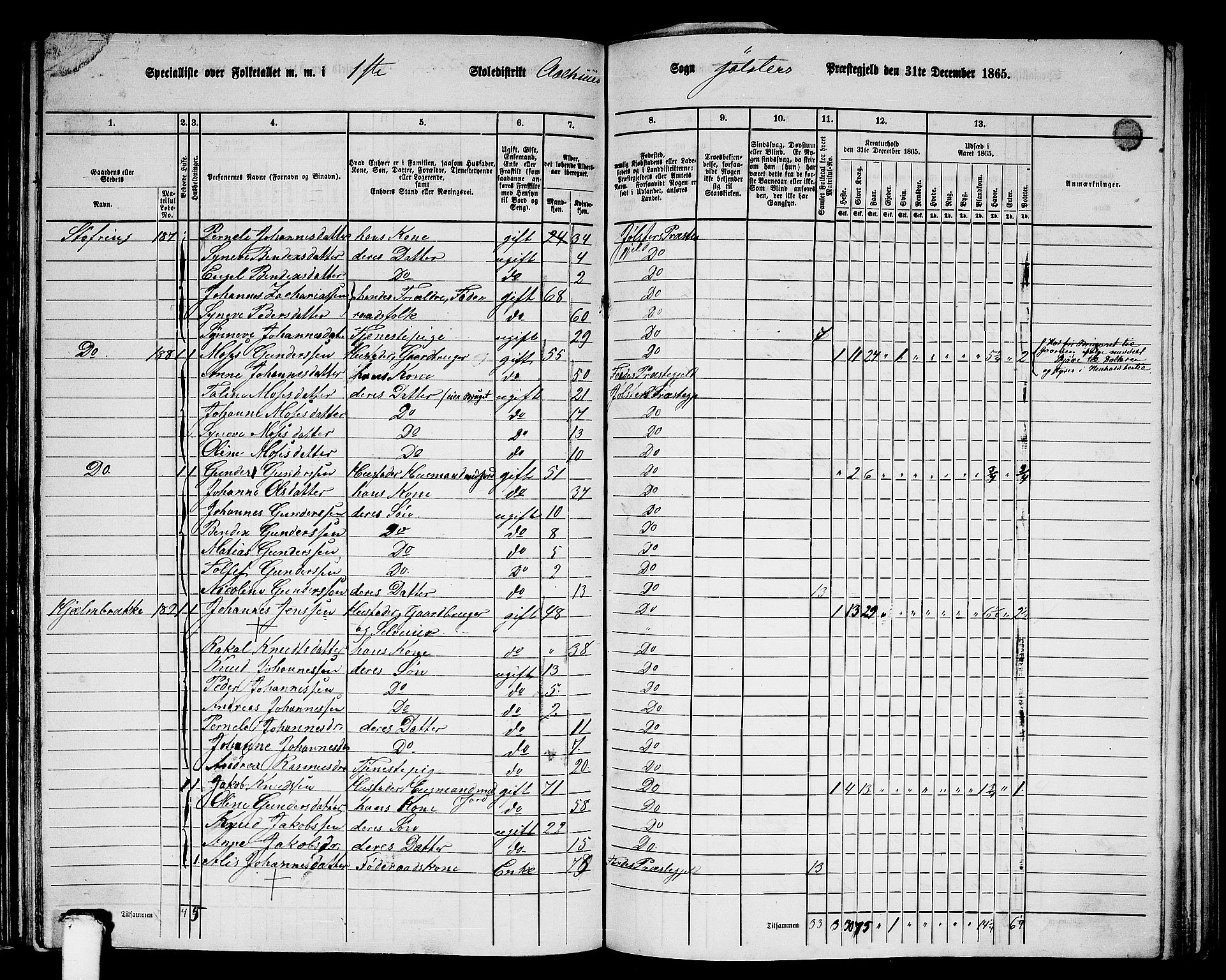 RA, 1865 census for Jølster, 1865, p. 100