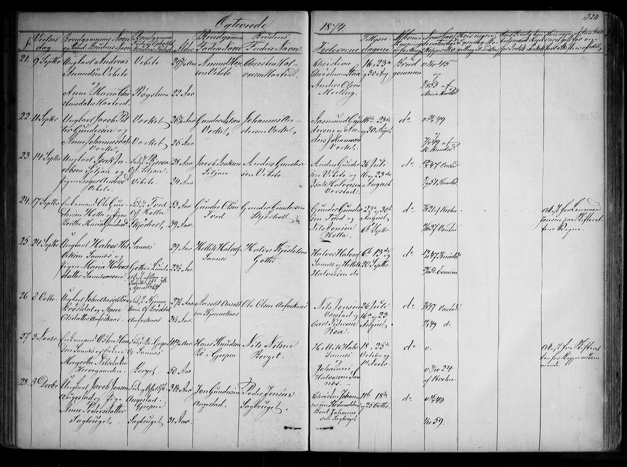 Holla kirkebøker, AV/SAKO-A-272/G/Ga/L0004: Parish register (copy) no. I 4, 1867-1890, p. 320