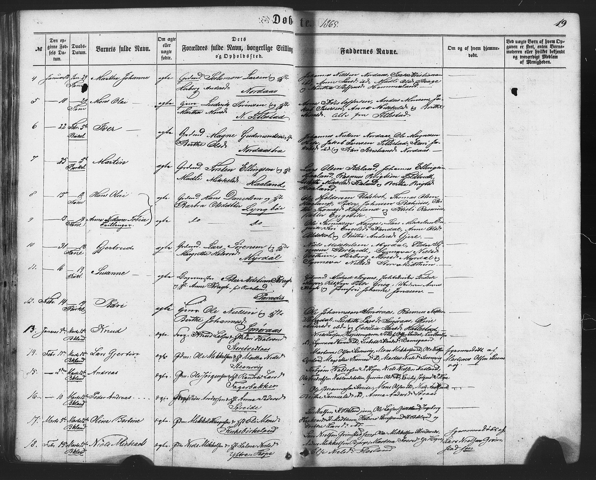 Fana Sokneprestembete, SAB/A-75101/H/Haa/Haaa/L0012: Parish register (official) no. A 12, 1862-1878, p. 19