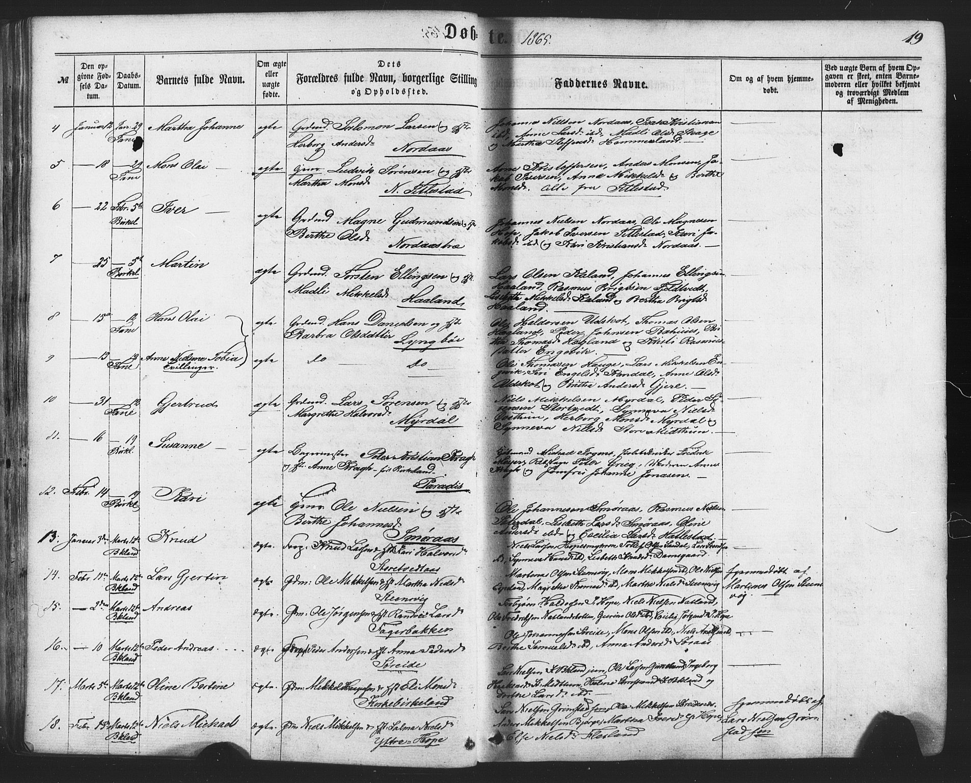 Fana Sokneprestembete, AV/SAB-A-75101/H/Haa/Haaa/L0012: Parish register (official) no. A 12, 1862-1878, p. 19