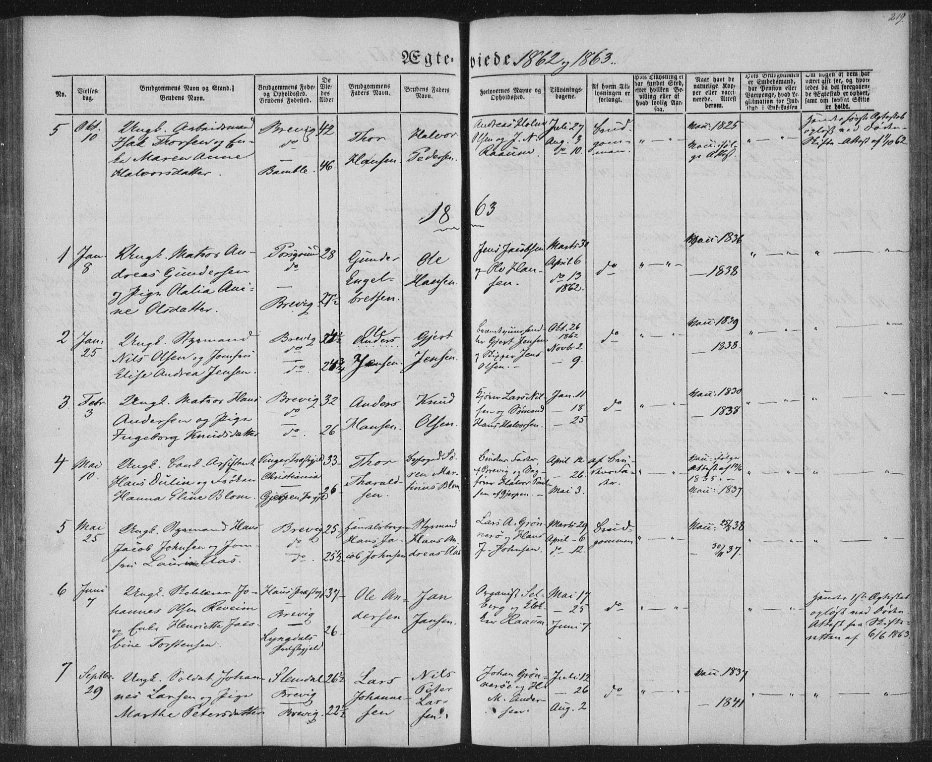 Brevik kirkebøker, SAKO/A-255/F/Fa/L0005: Parish register (official) no. 5, 1847-1865, p. 219