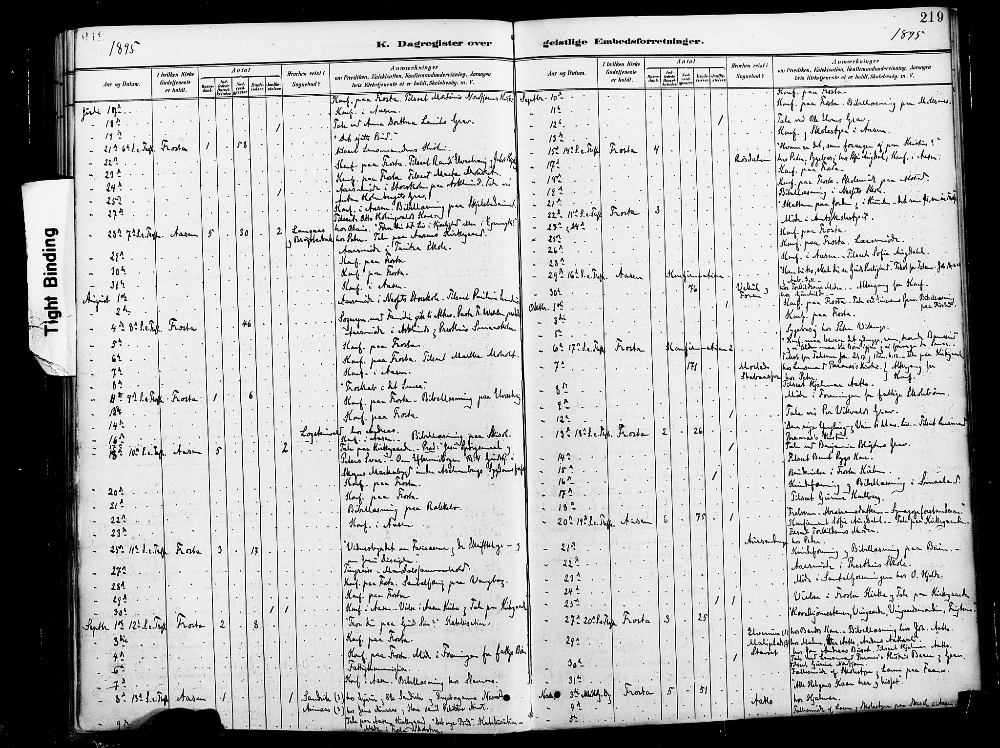 Ministerialprotokoller, klokkerbøker og fødselsregistre - Nord-Trøndelag, AV/SAT-A-1458/713/L0121: Parish register (official) no. 713A10, 1888-1898, p. 219