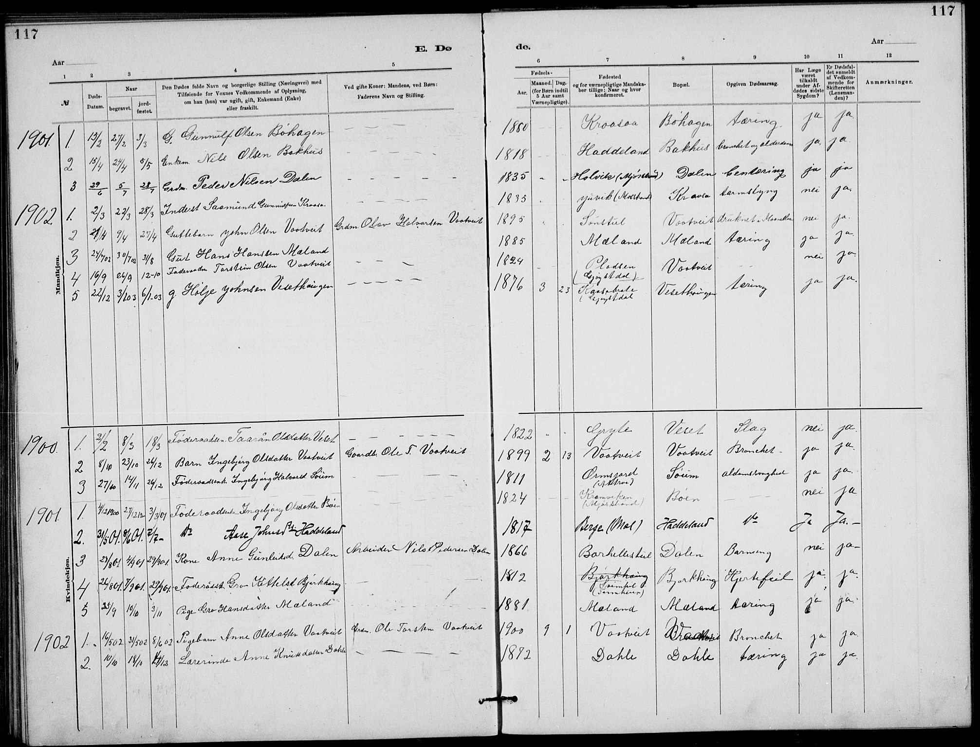 Rjukan kirkebøker, AV/SAKO-A-294/G/Ga/L0001: Parish register (copy) no. 1, 1880-1914, p. 117