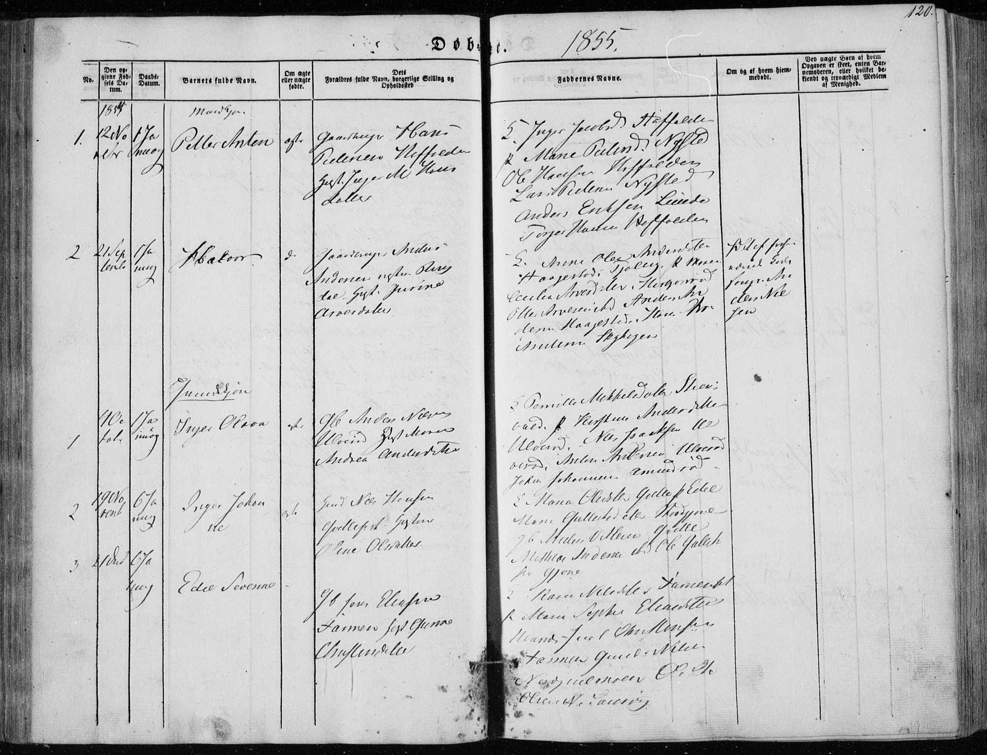 Hedrum kirkebøker, SAKO/A-344/F/Fa/L0006: Parish register (official) no. I 6, 1849-1857, p. 120